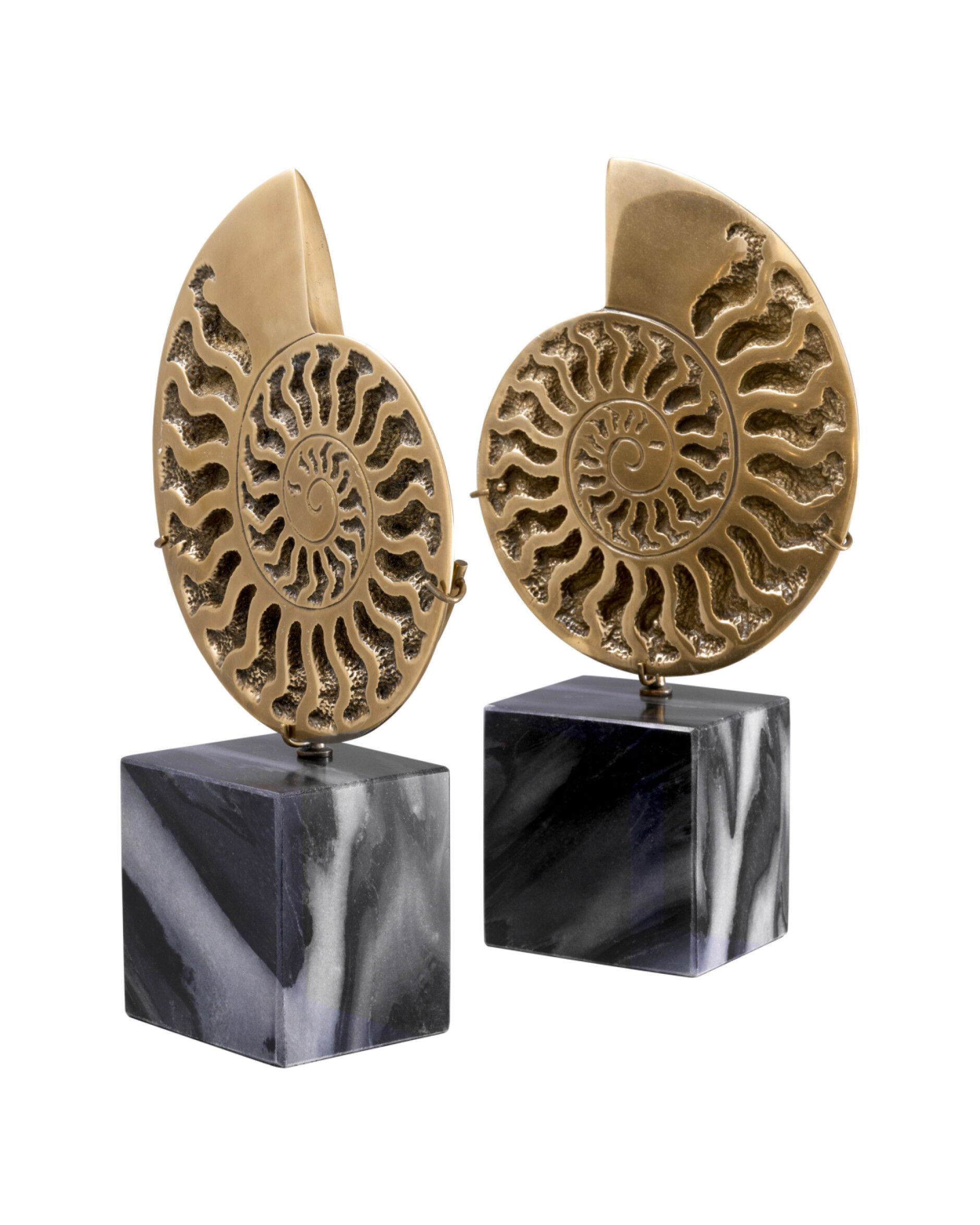 Ammonite Object Vintage Brass Set of 2