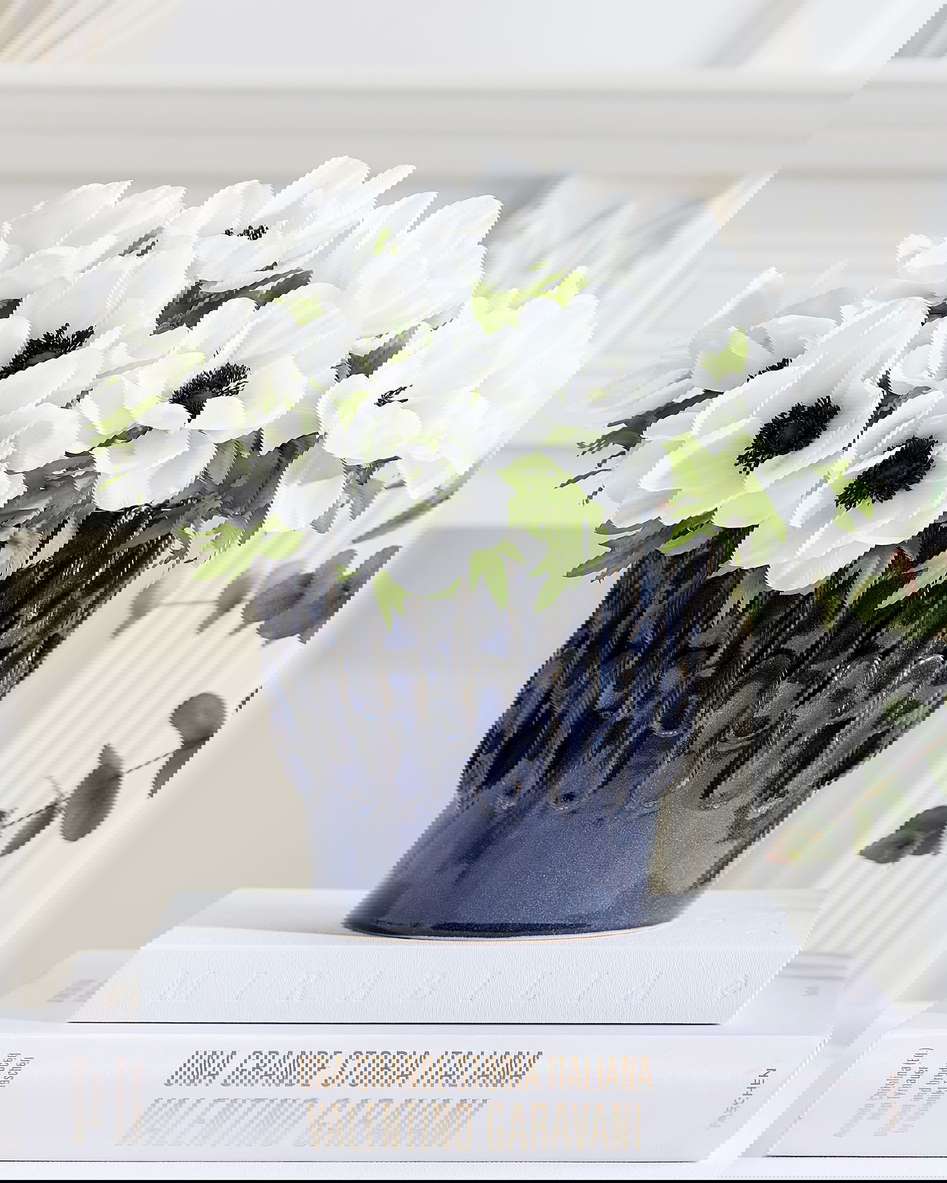 Anemon snittblomma vit