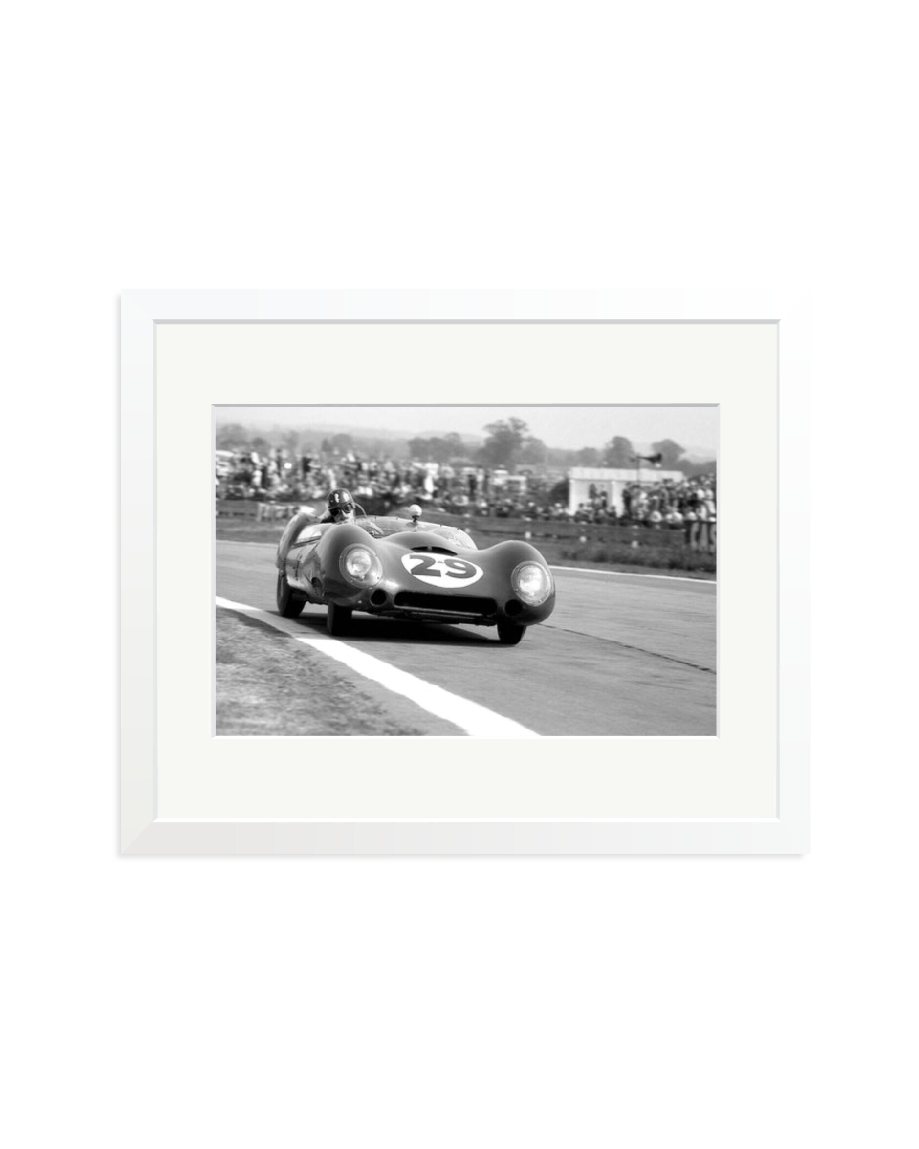 Goodwood Tourist Trophy White / Medium