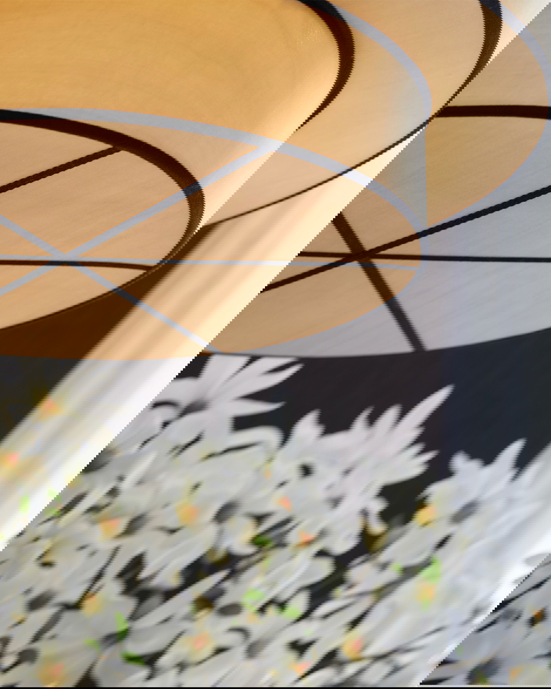 Newport silklamp tophat