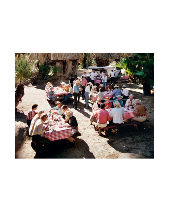 Lunch Al Fresco Gallery Crop