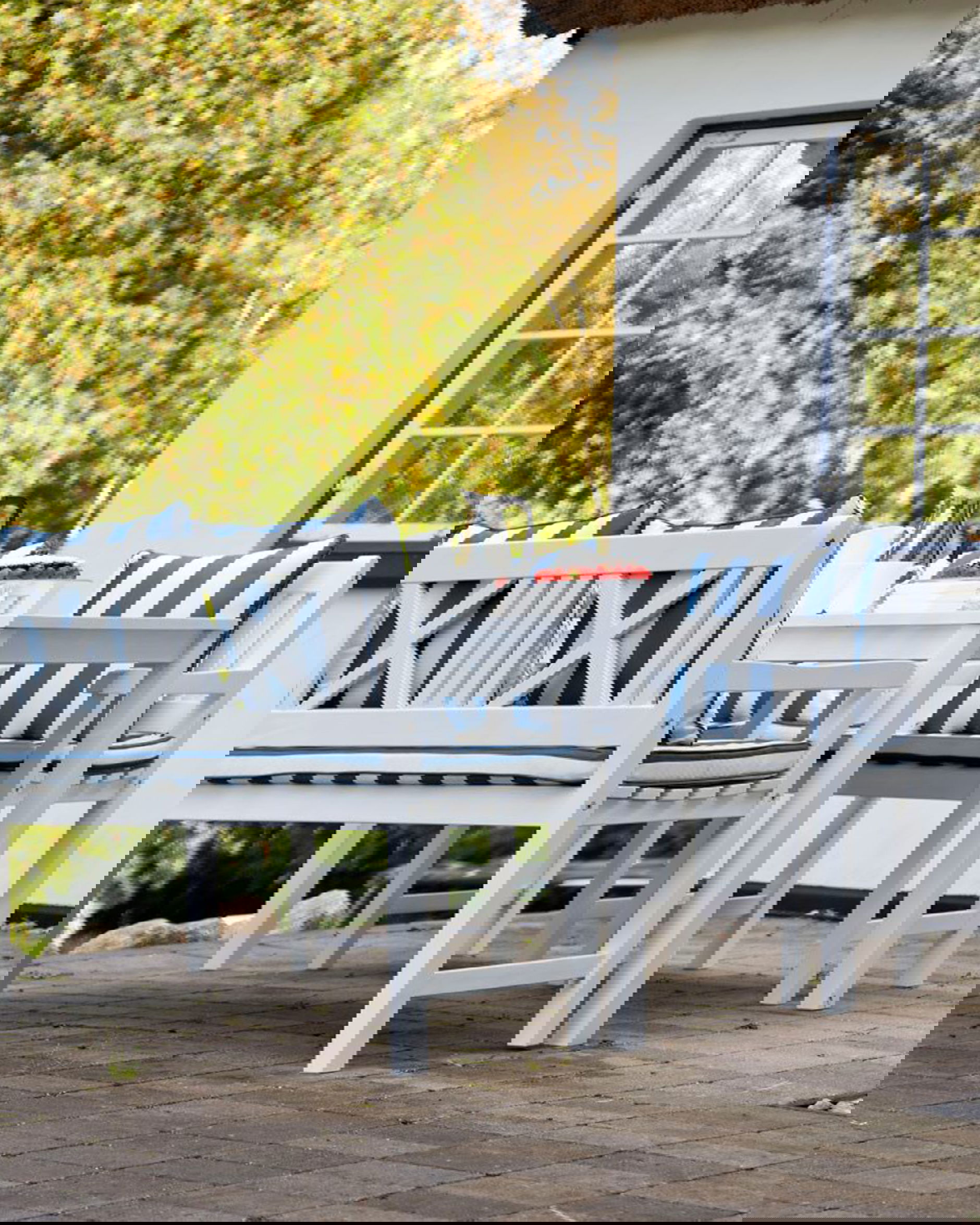 Rosenborg karmstol vit