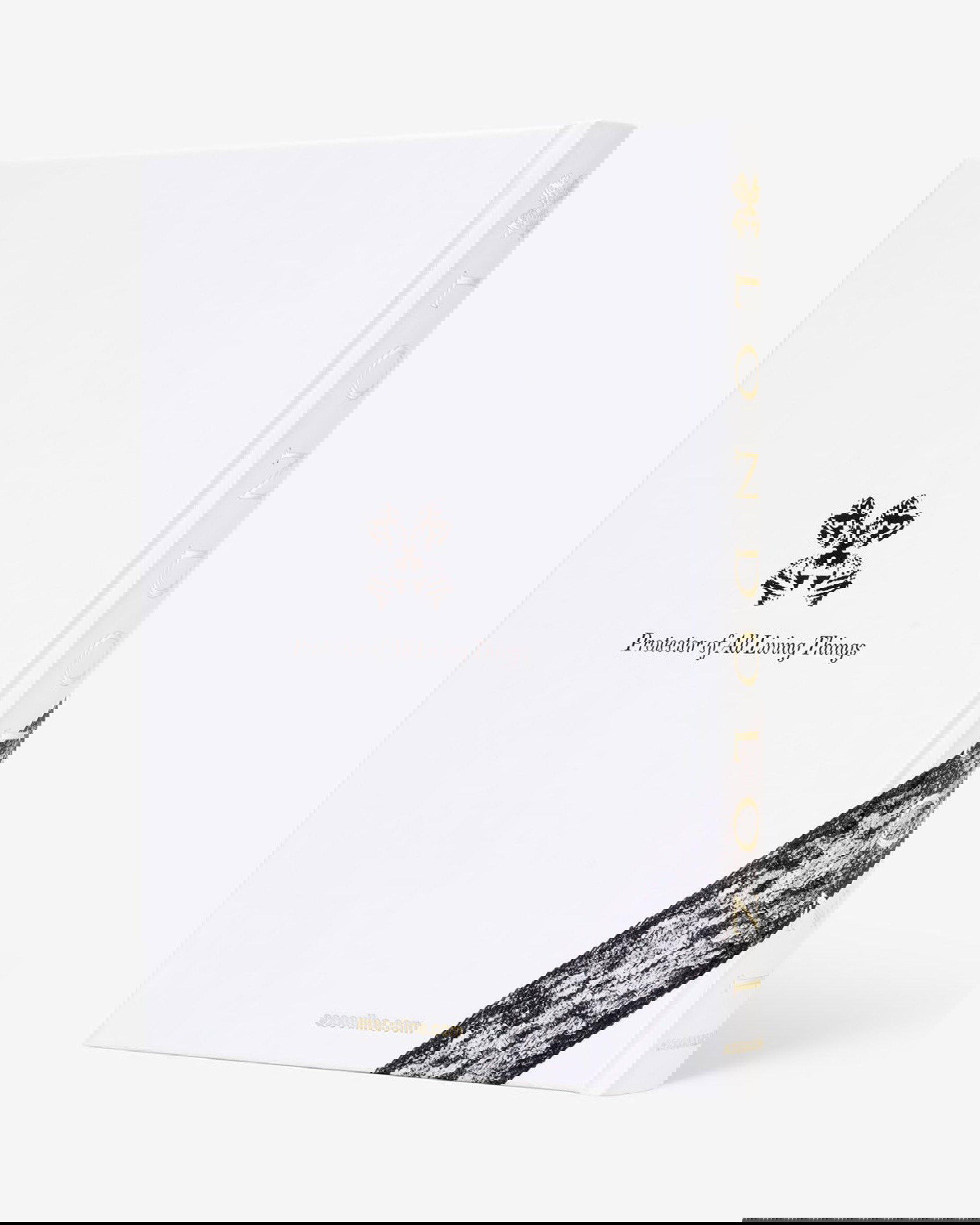 Londolozi, The Safari that Changed Everything