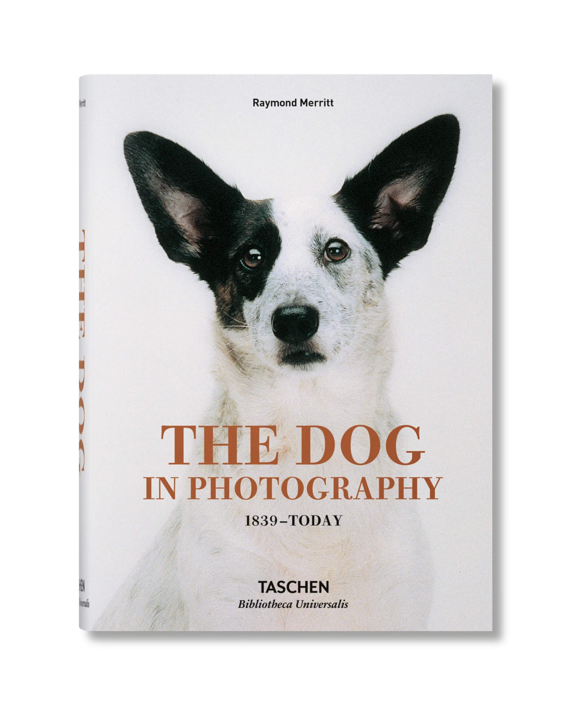 The Dog In Photography