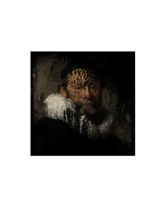 Rembrandt White