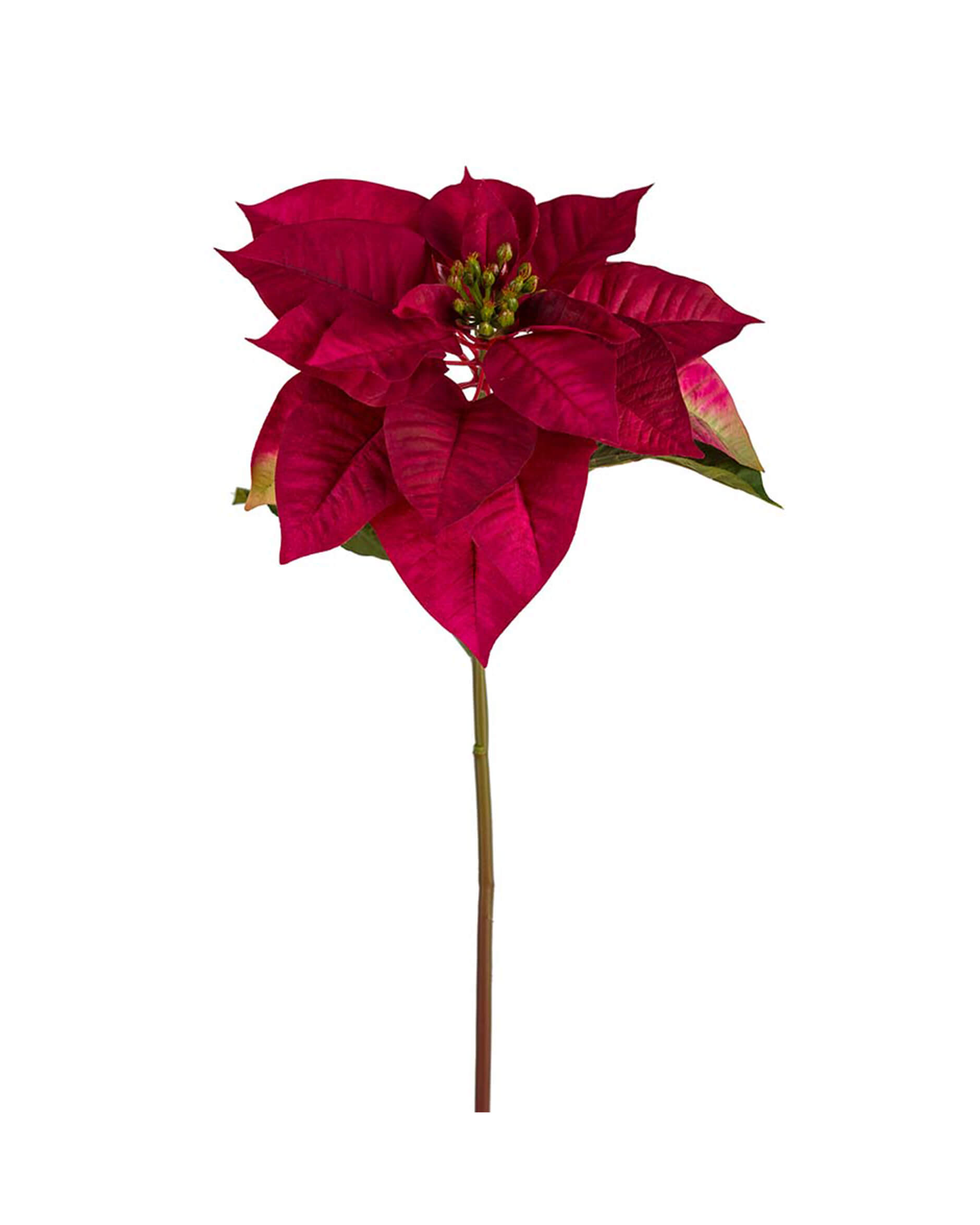 Alternativ bild 1 för Julstjärna Burgundy 70cm, Konstgjord