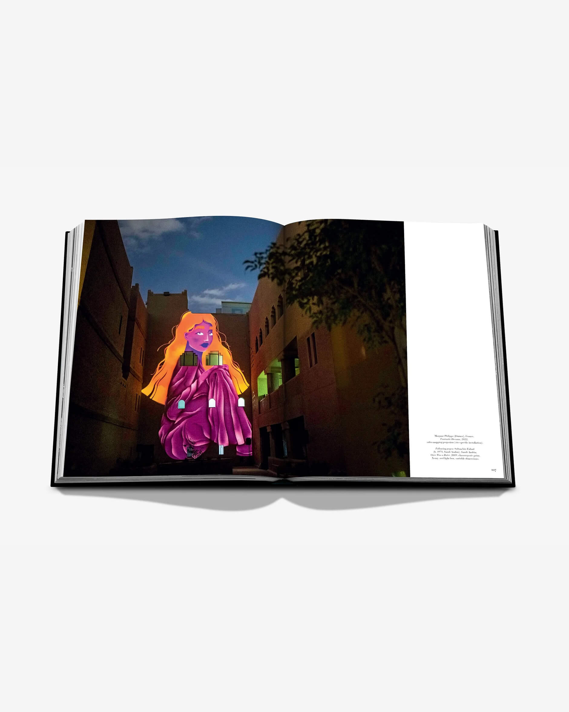 Noor Riyahd: A New Visual Culture (Ultimate)