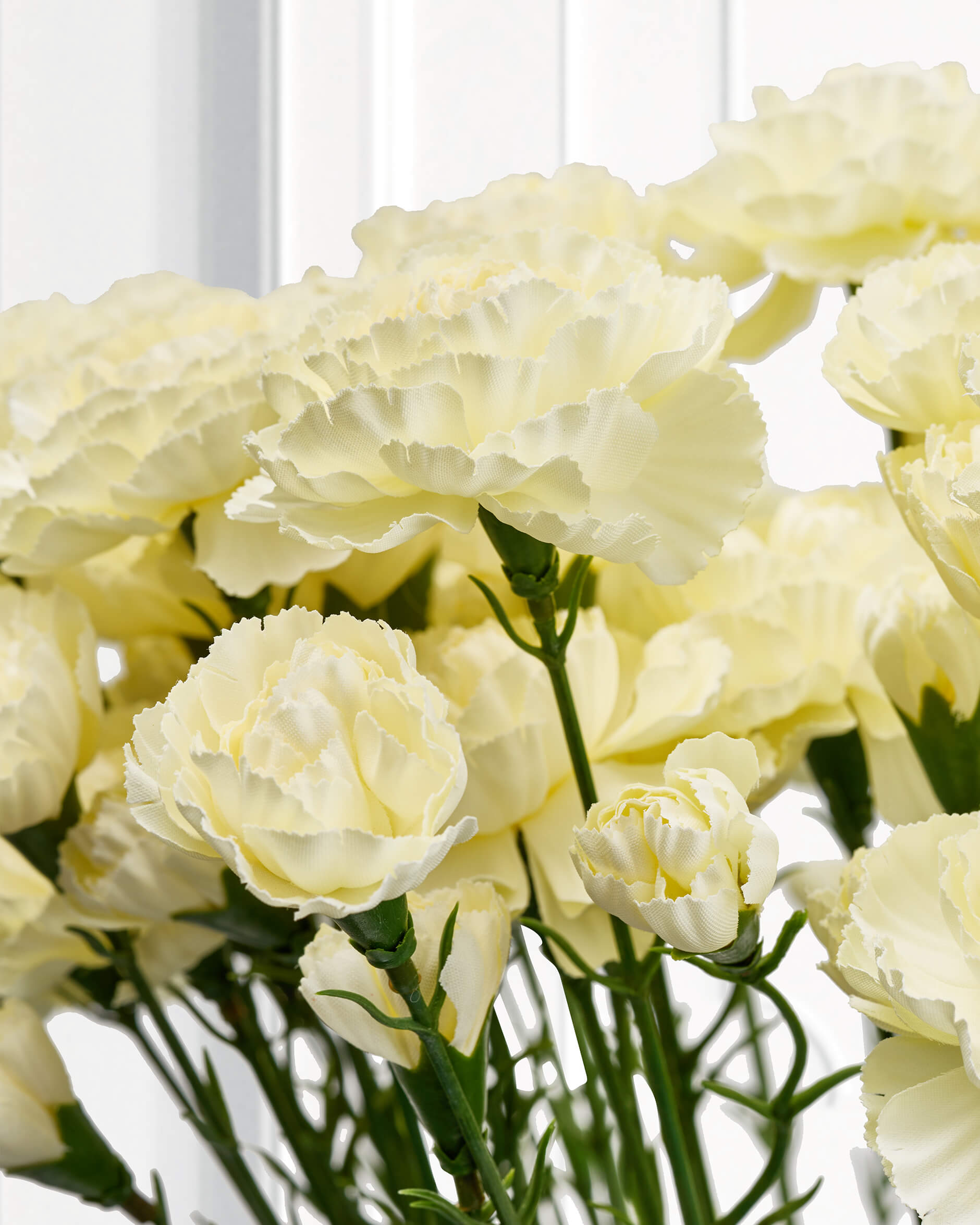 Alternativ bild 1 för Nejlika snittblomma vit