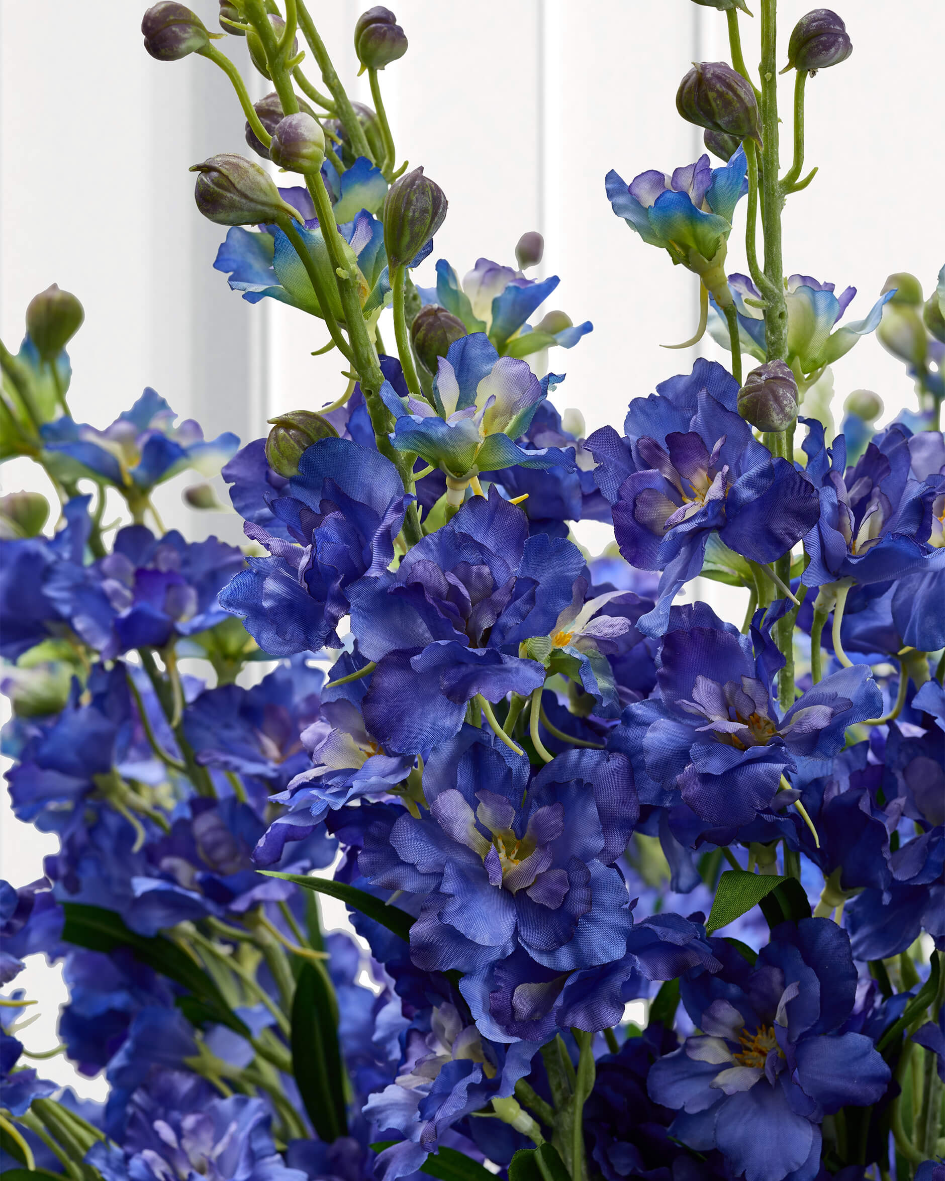 Delphinium snittblomma lila