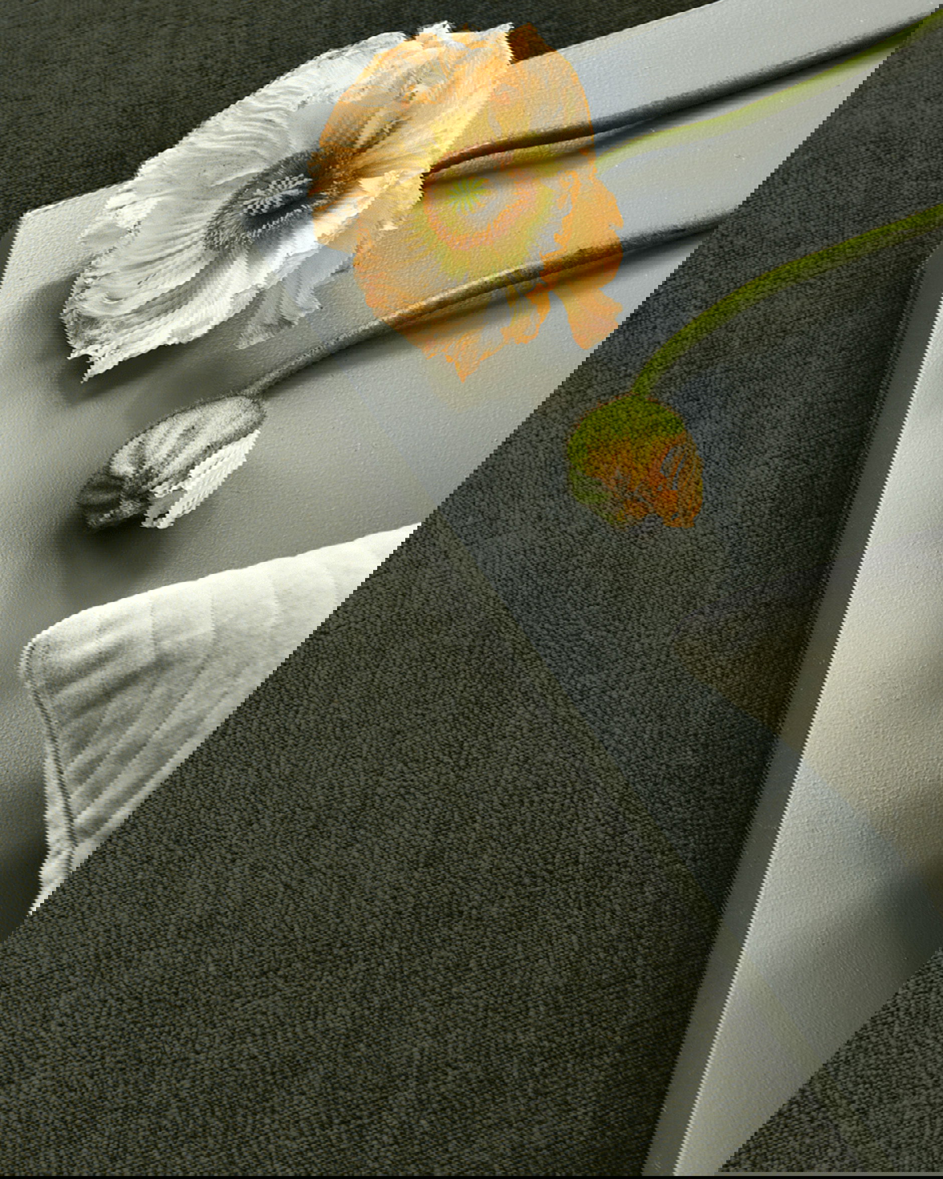 Solid Rug Forest Green