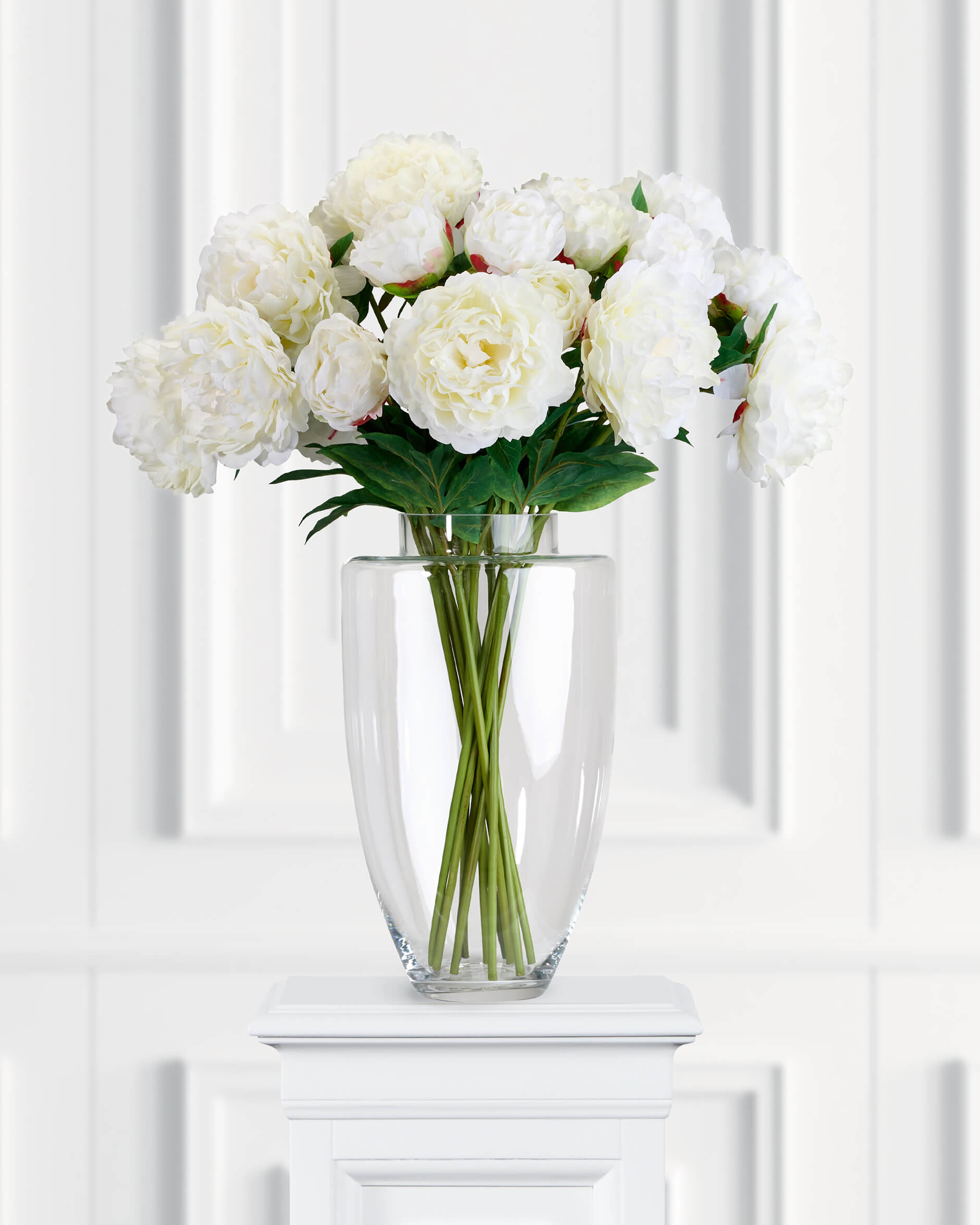 Pion snittblomma vit