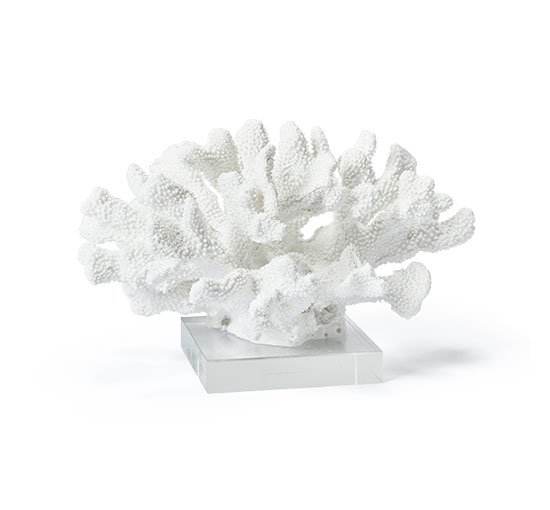 Maya-koralli, valkoinen