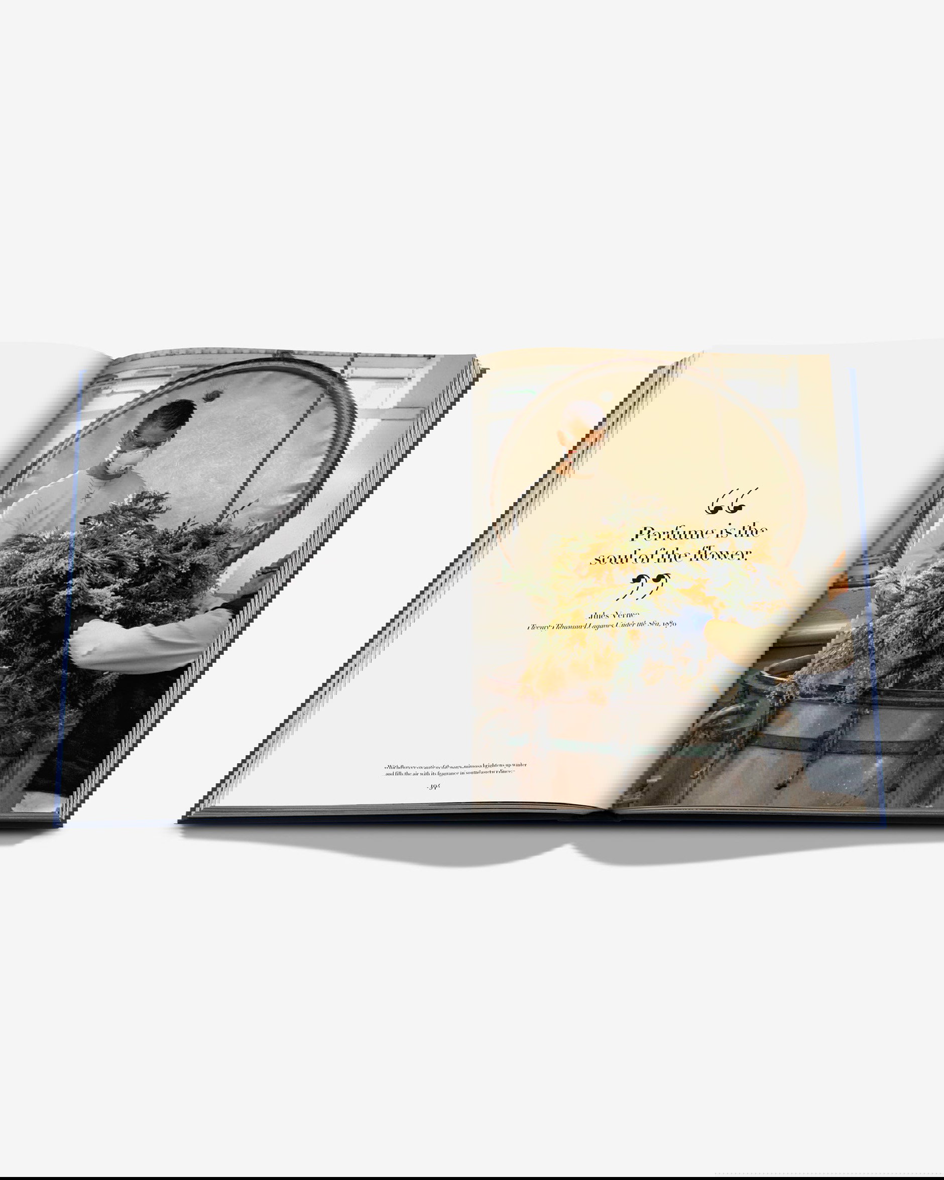 Robertet: From Seed to Scent