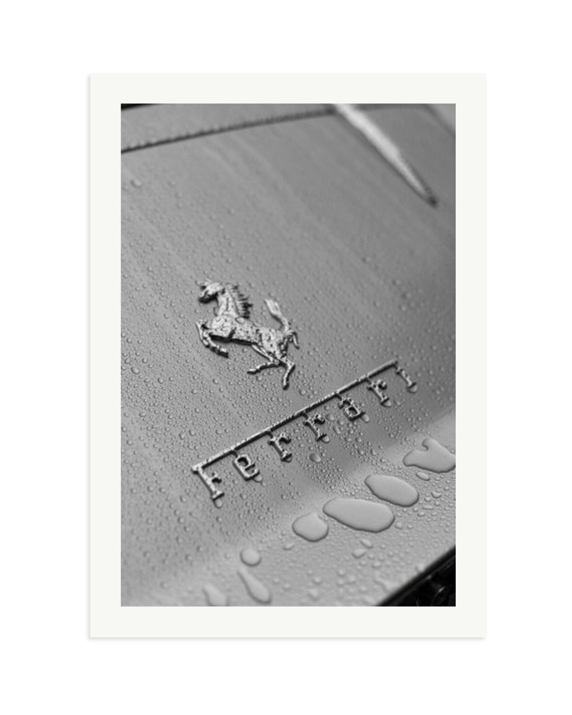 1965 Ferrari 275GTB Print Only / XXL