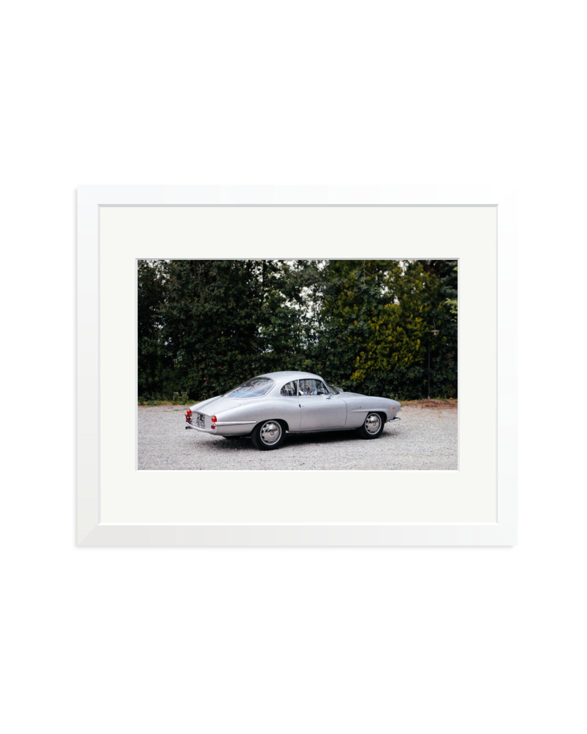 1964 Alfa Romeo Giulia SS White / Medium