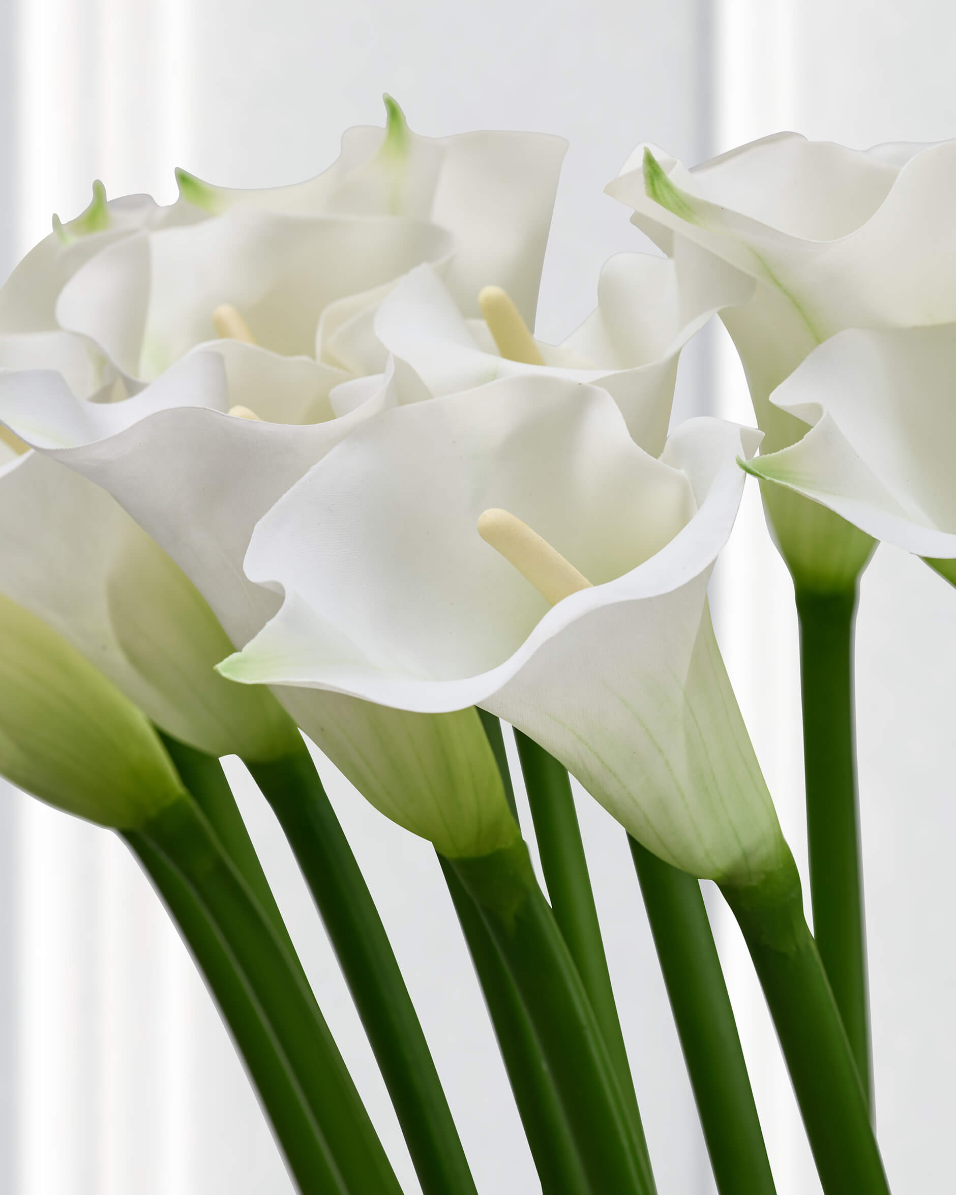 Kalla leikkokukka valkoinen