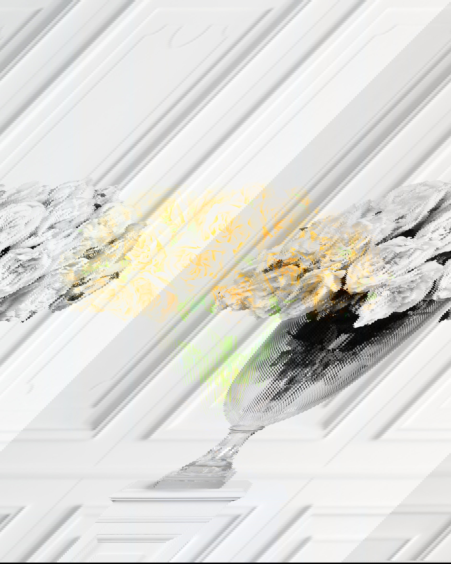 Ros snittblomma cream