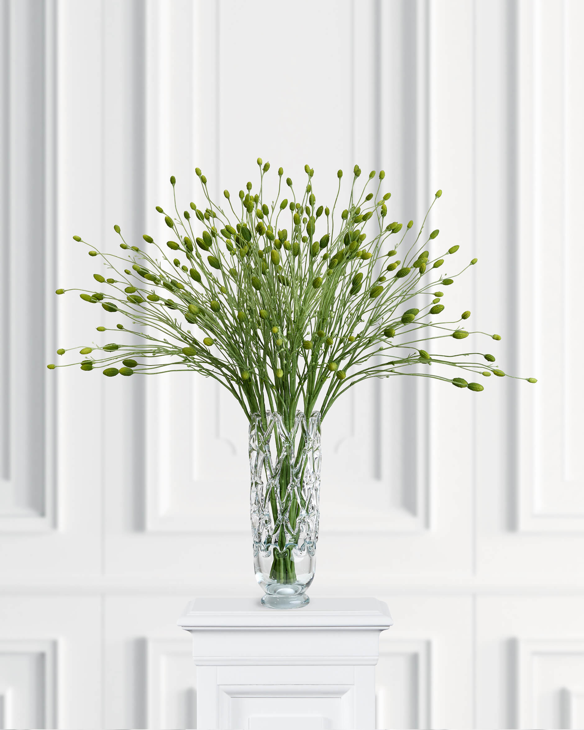 Pimpinell snittblomma grön