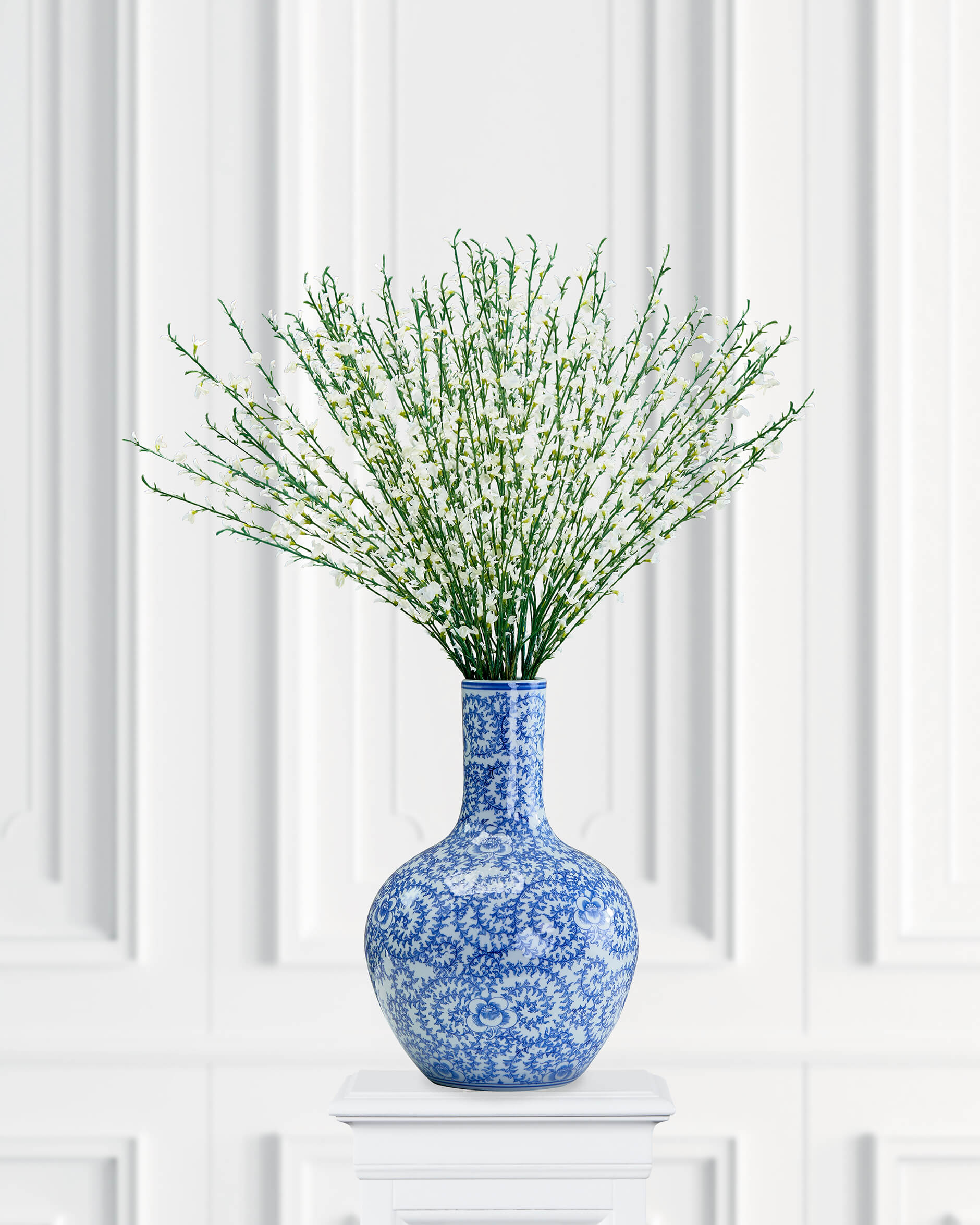 Ginst leikkokukka valkoinen