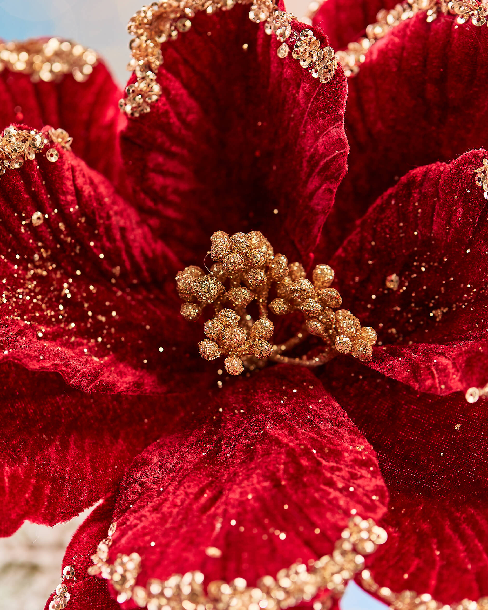 Odette-klipsikoriste, viininpunainen