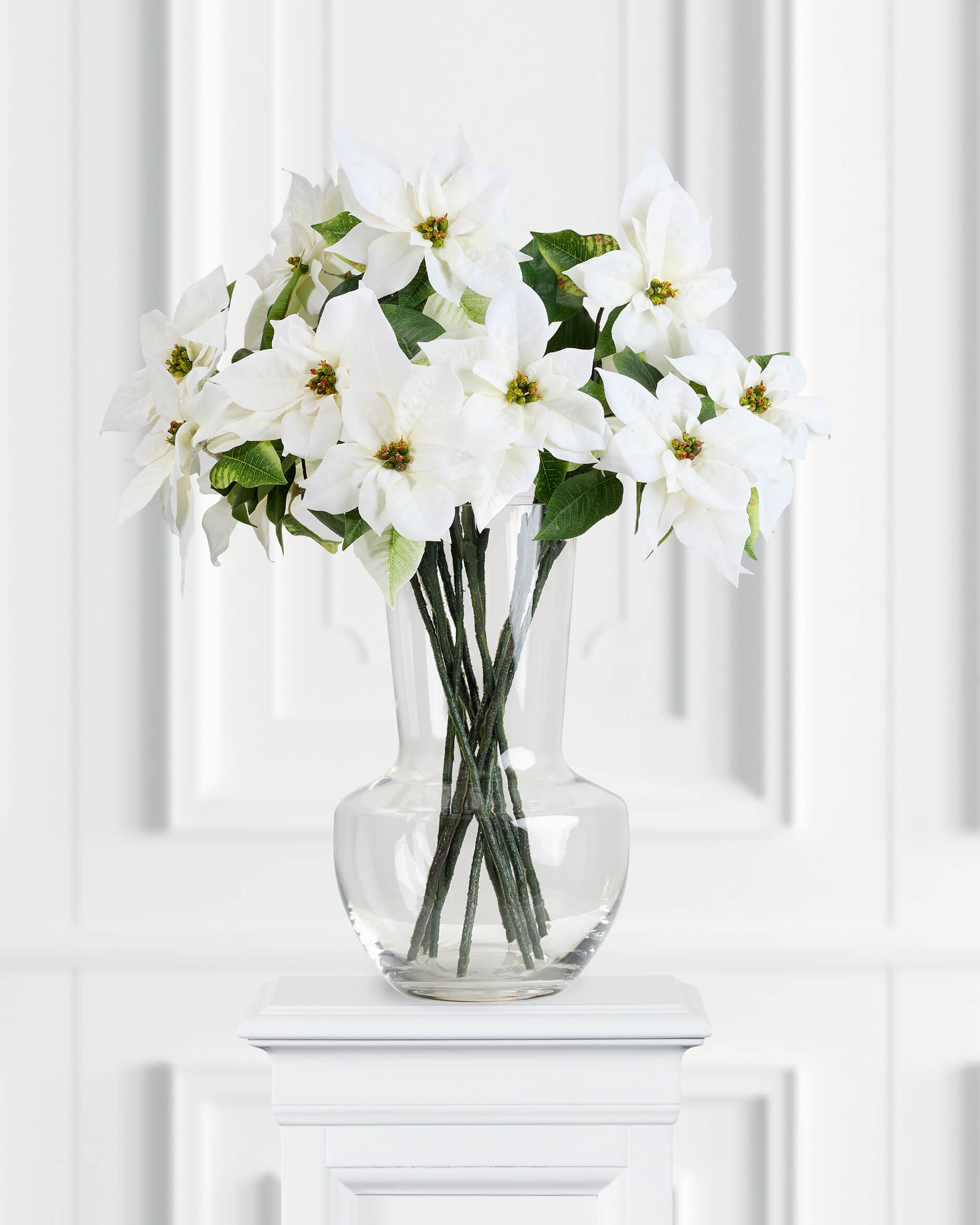 Julstjärna snittblomma vit