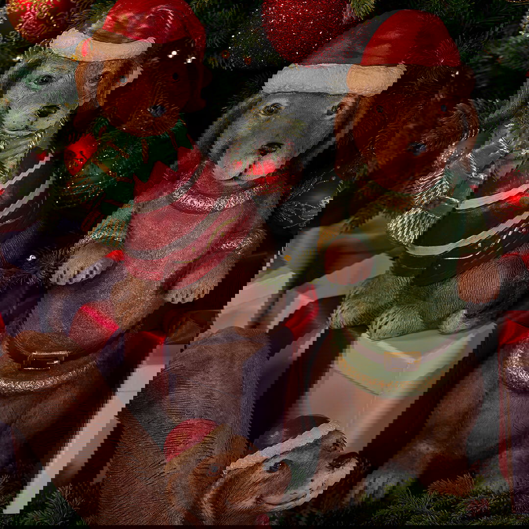 Newport - Inredning, möbler & design - newport.se