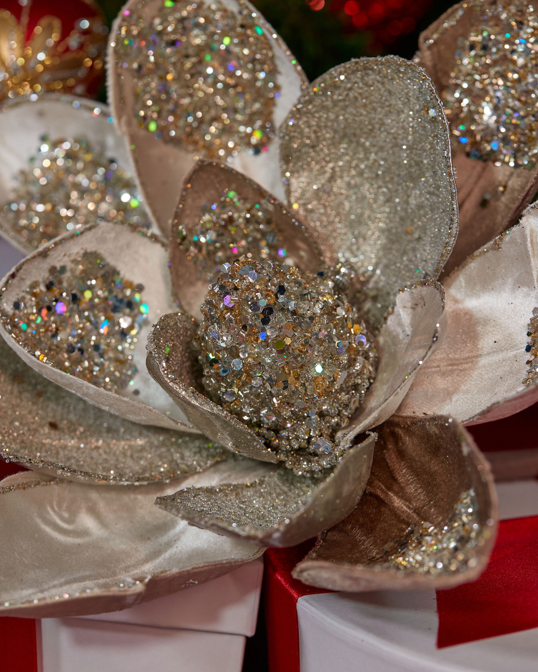 Magnolia decoratietak champagne