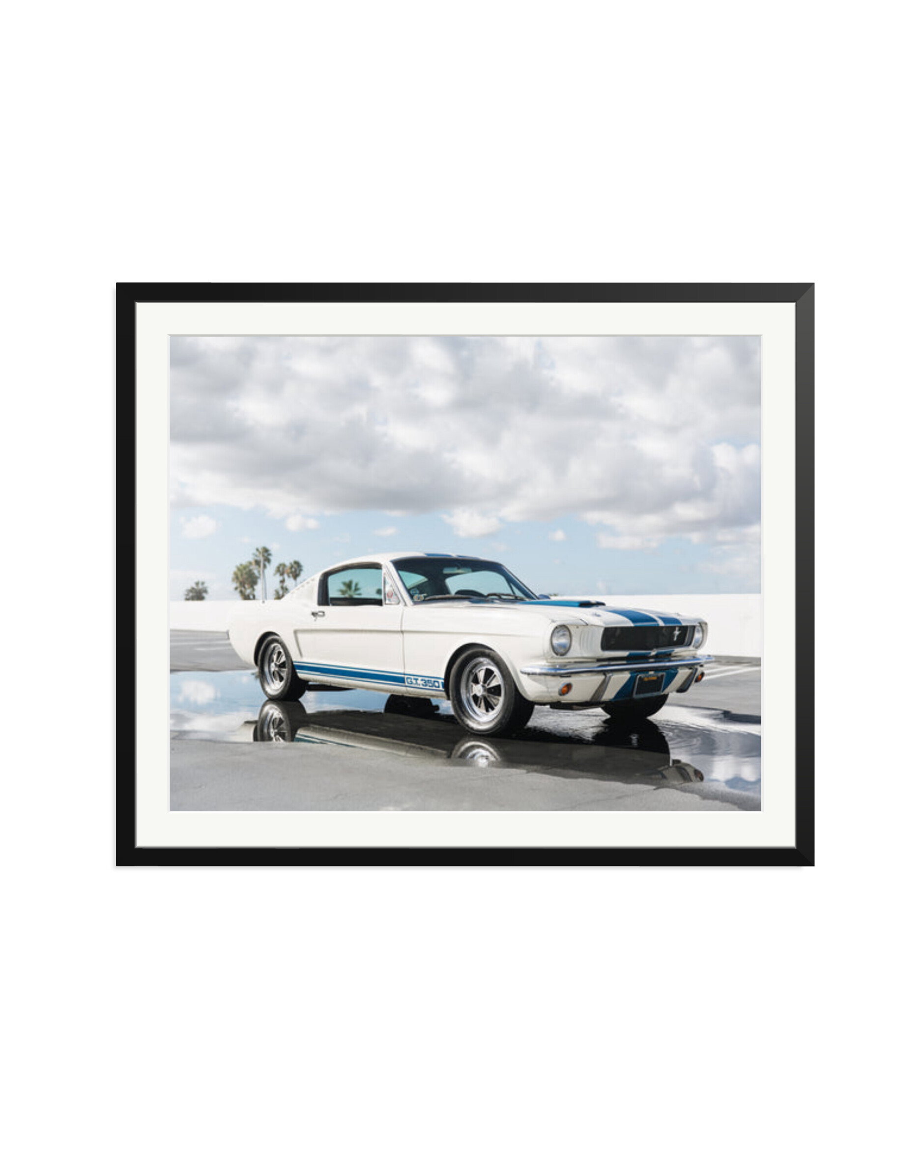 Ford Mustang Shelby GT350 Black / XXL