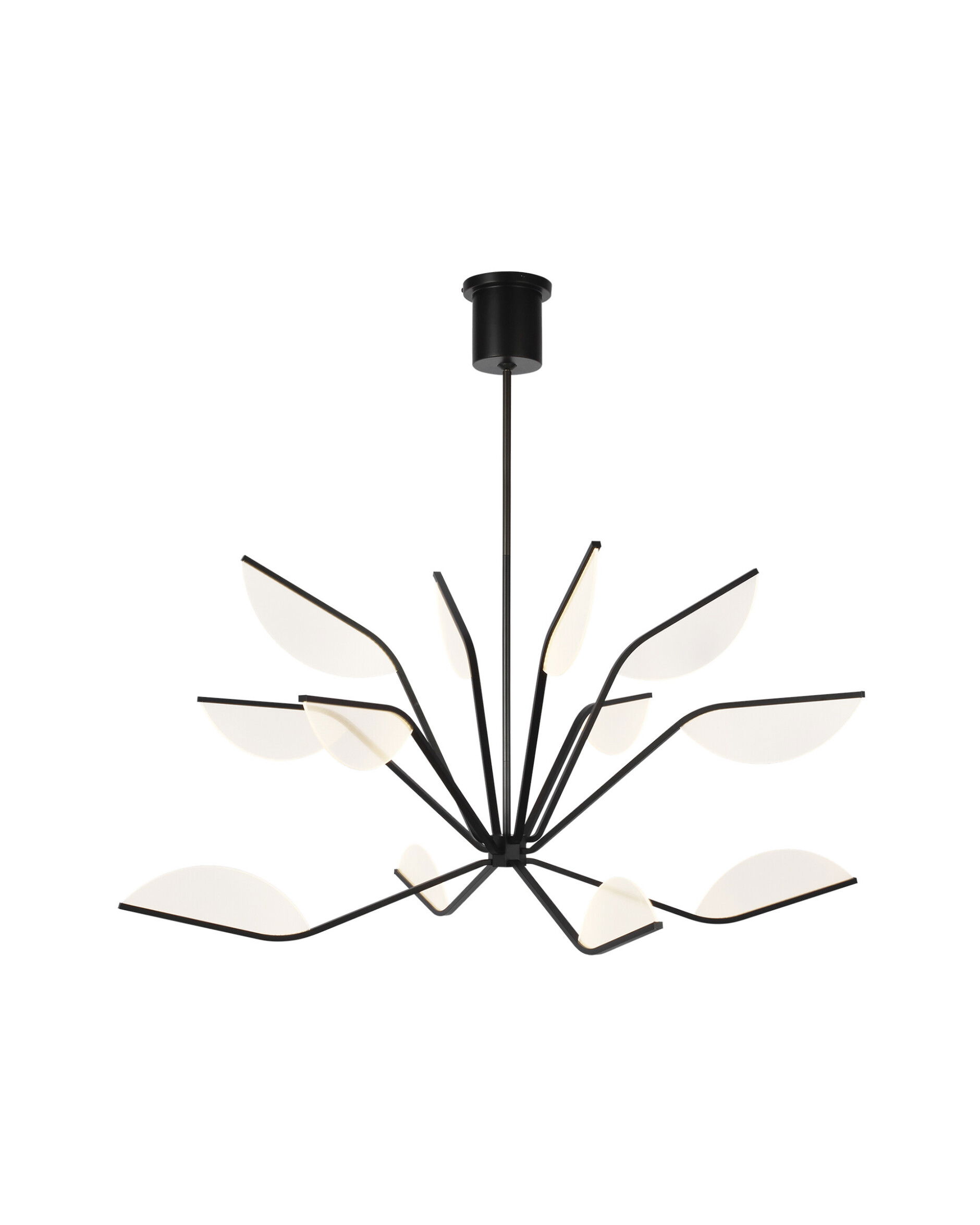 Belterra 48 takkrona svart