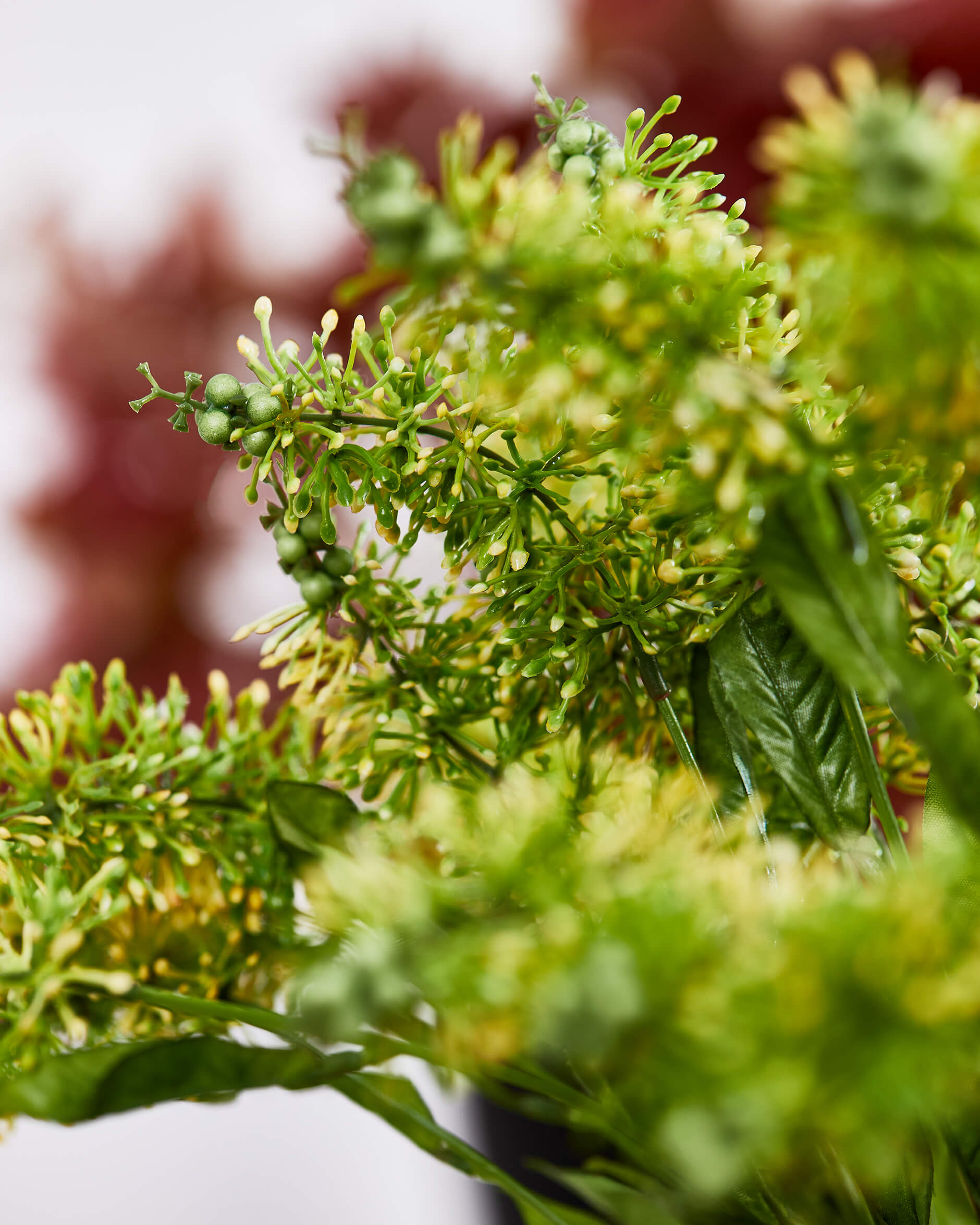Astilbe snittblomma grön