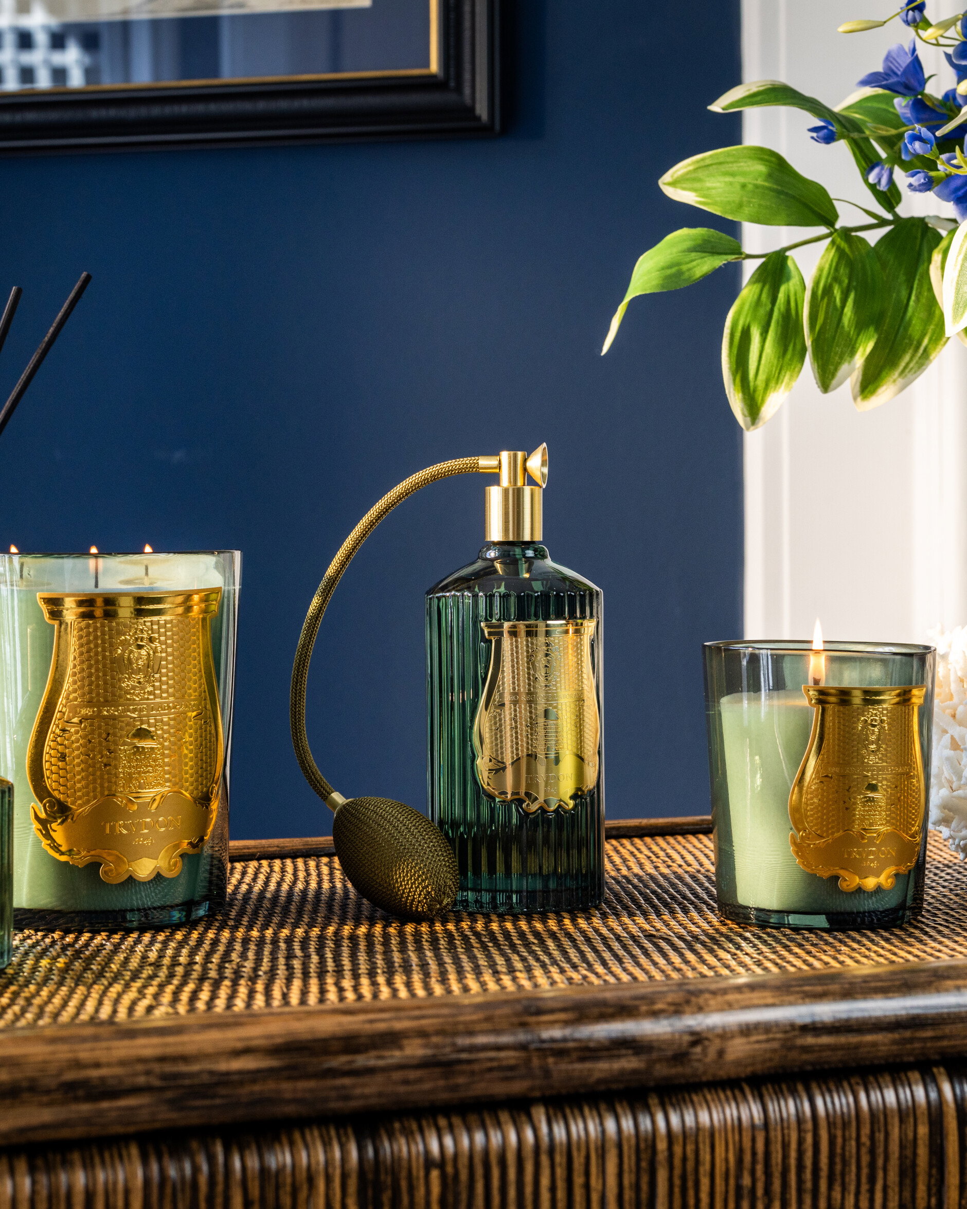 Trudon Room Spray Figuerie