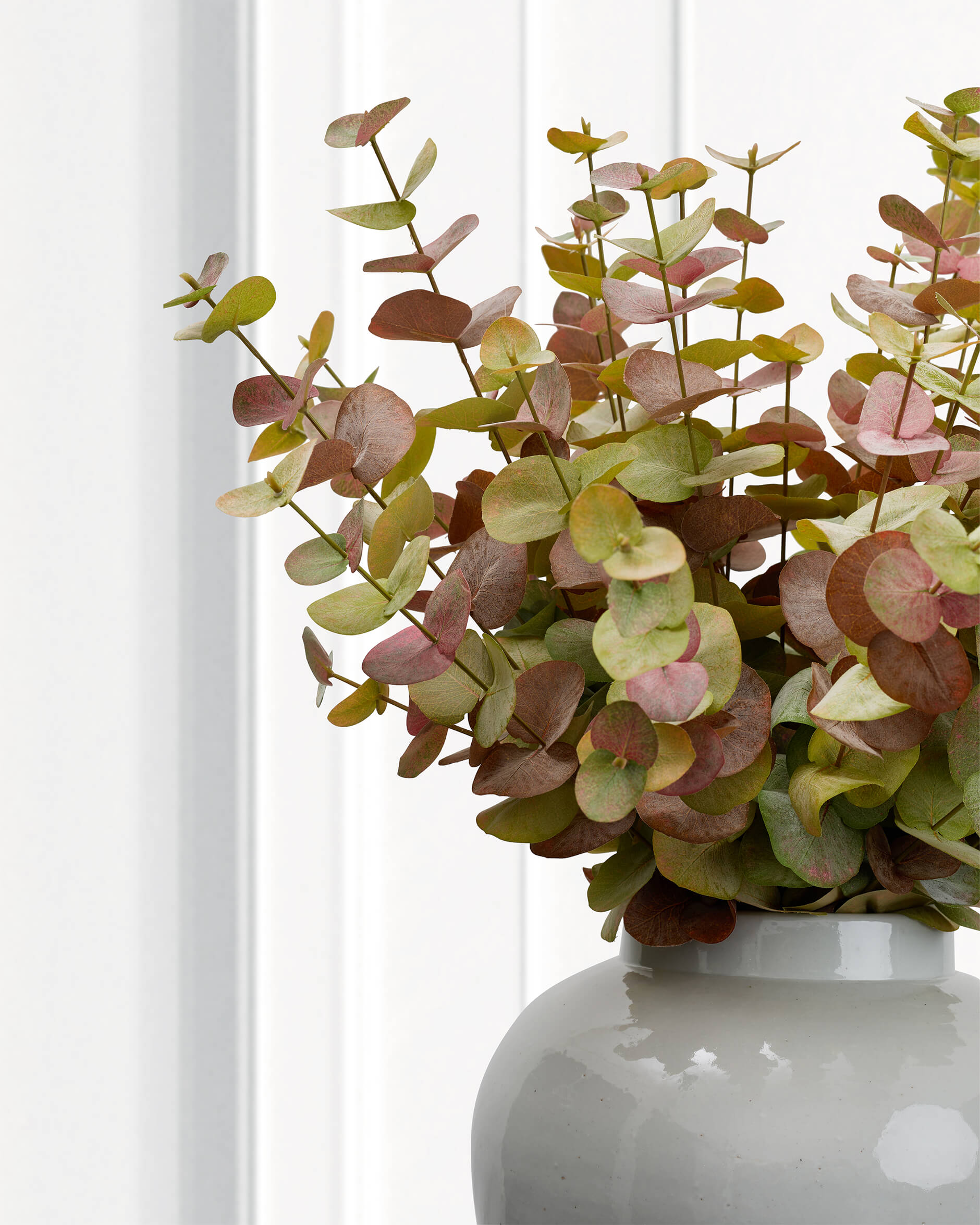 Eucalyptus snittblomma grön/orange