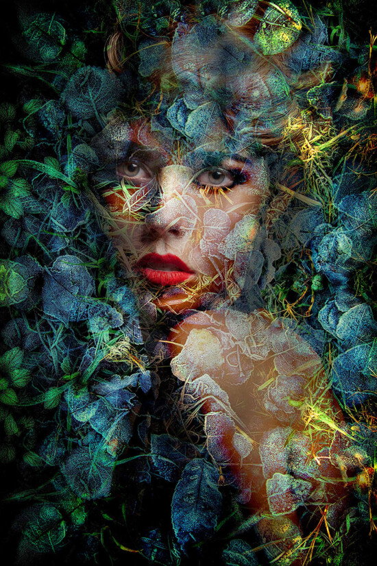 Blue Autumn