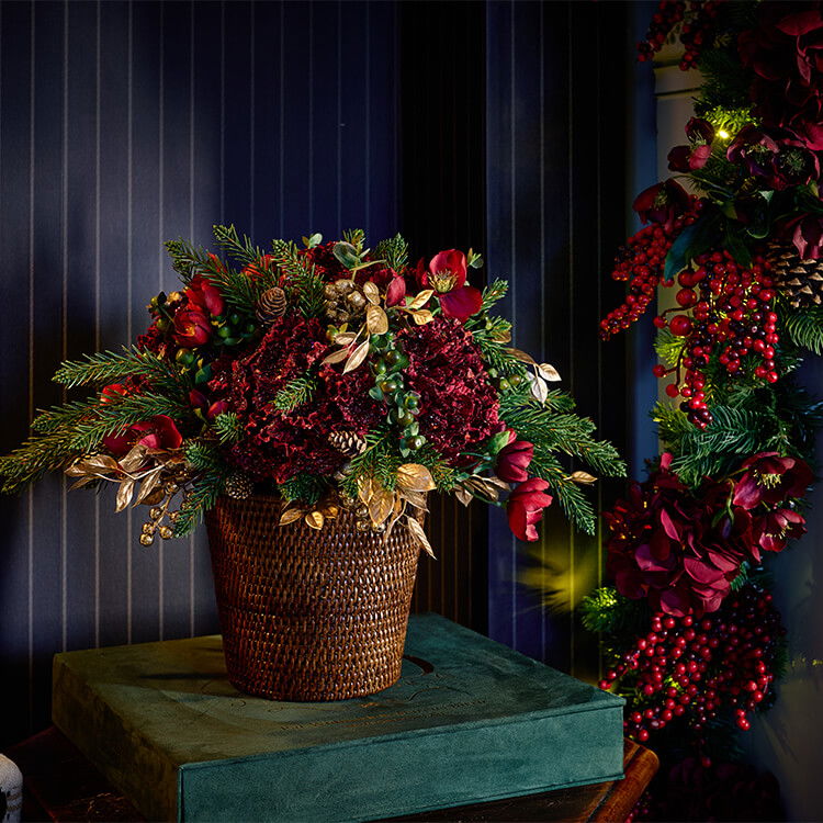 Fleurs de Noel Collection