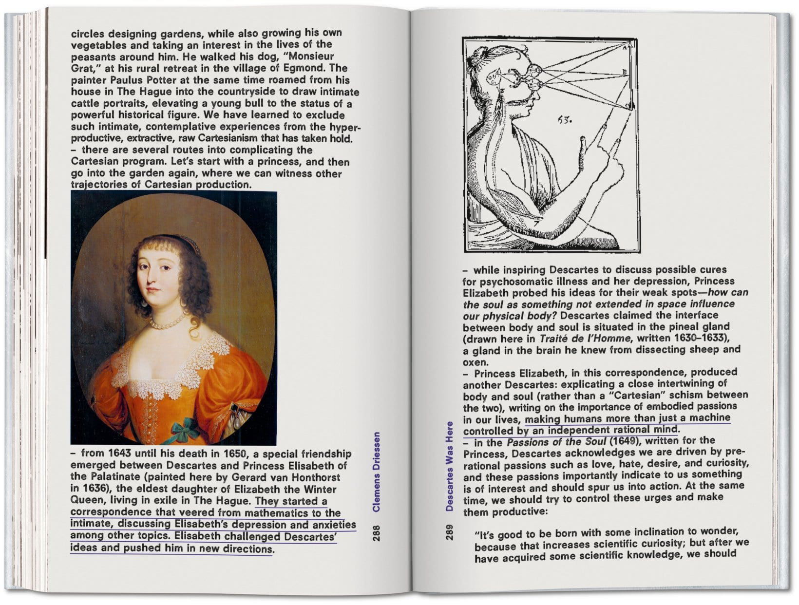 Koolhaas. Countryside, A Report