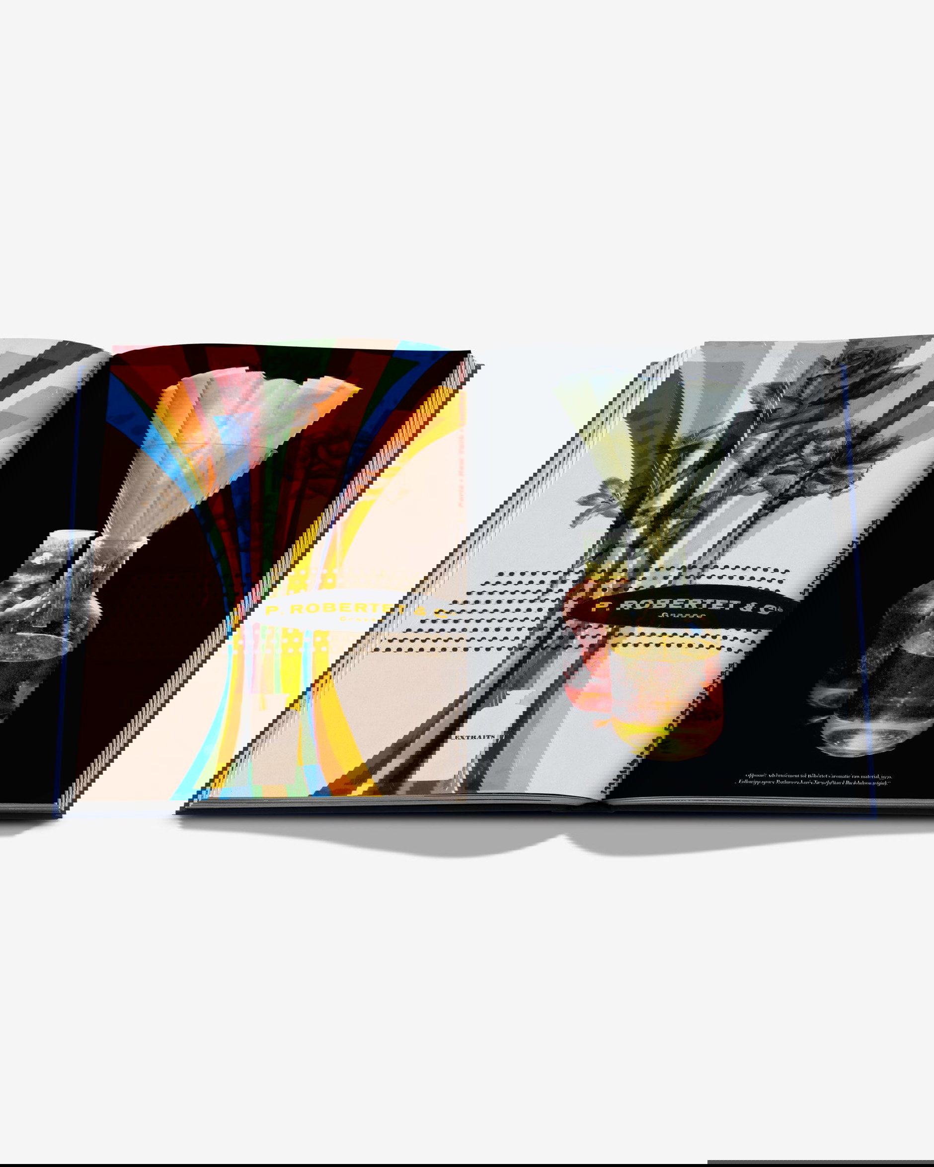 Robertet: From Seed to Scent