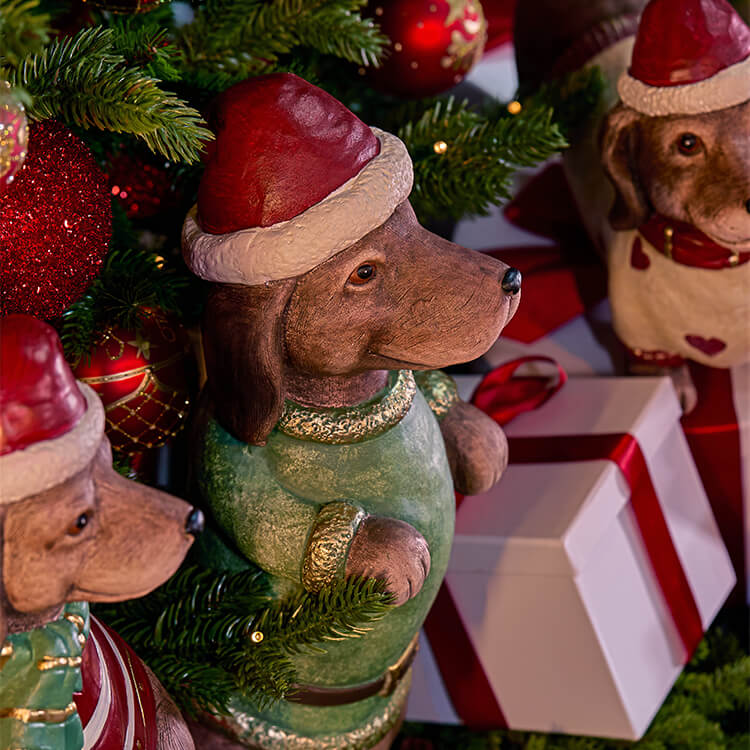 Newport Christmas Collections