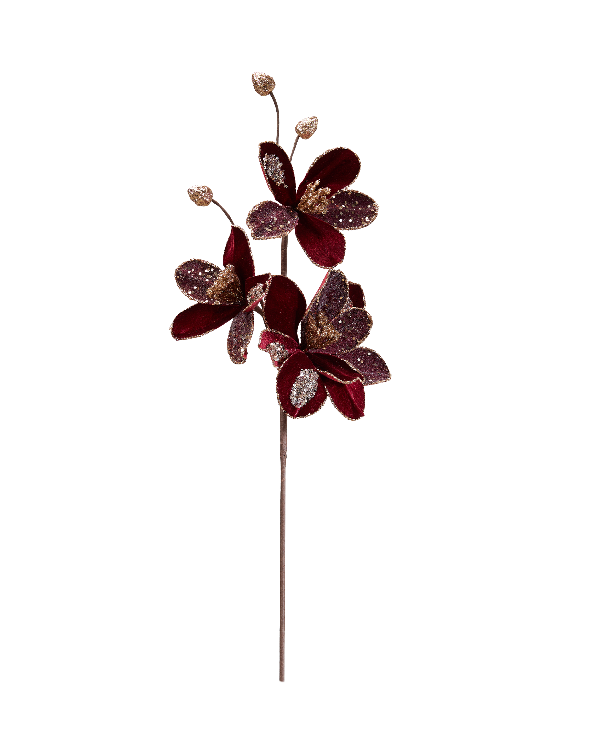 Mary magnolia snijbloem bordeaux