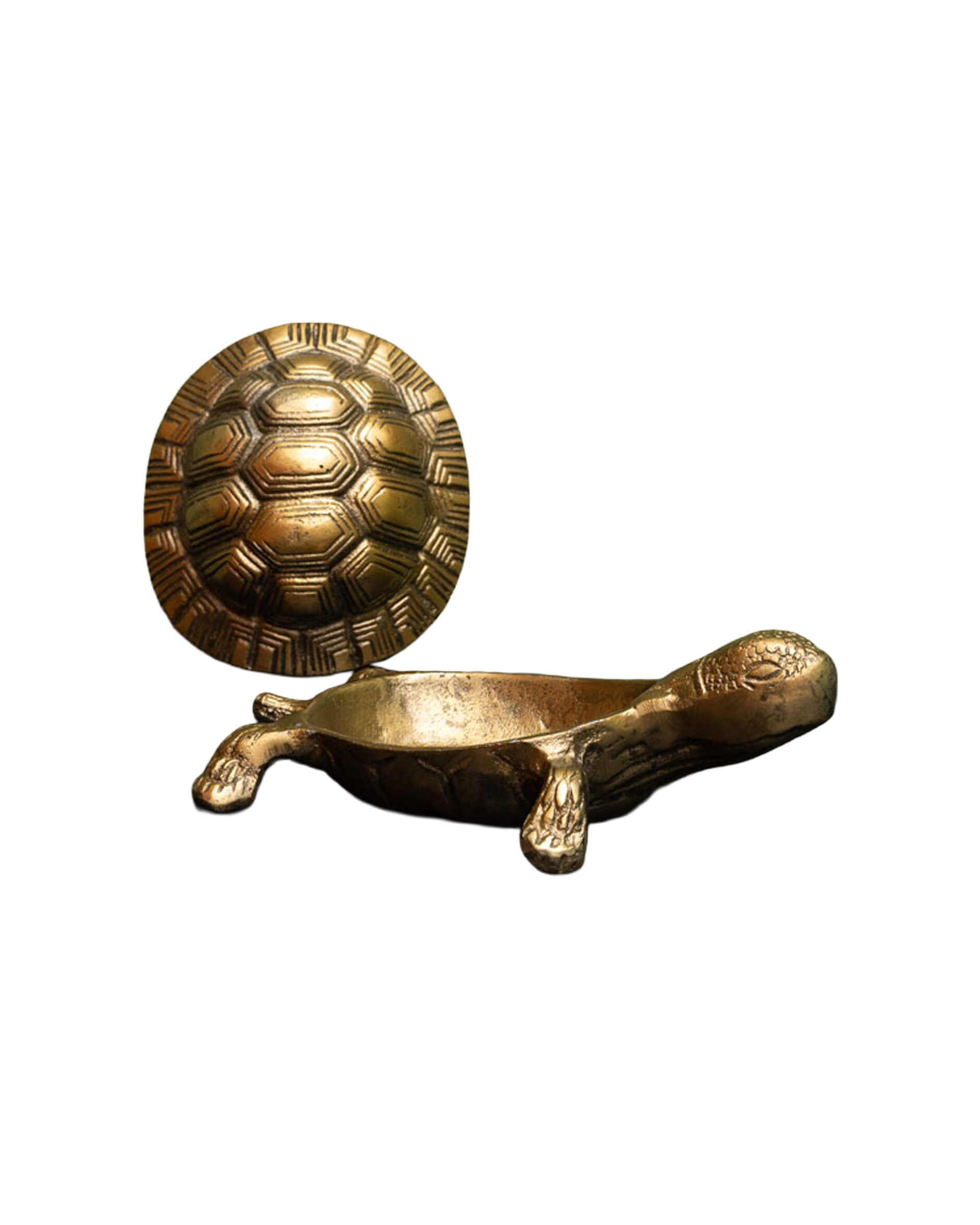 Kilpikonna rasia messinki