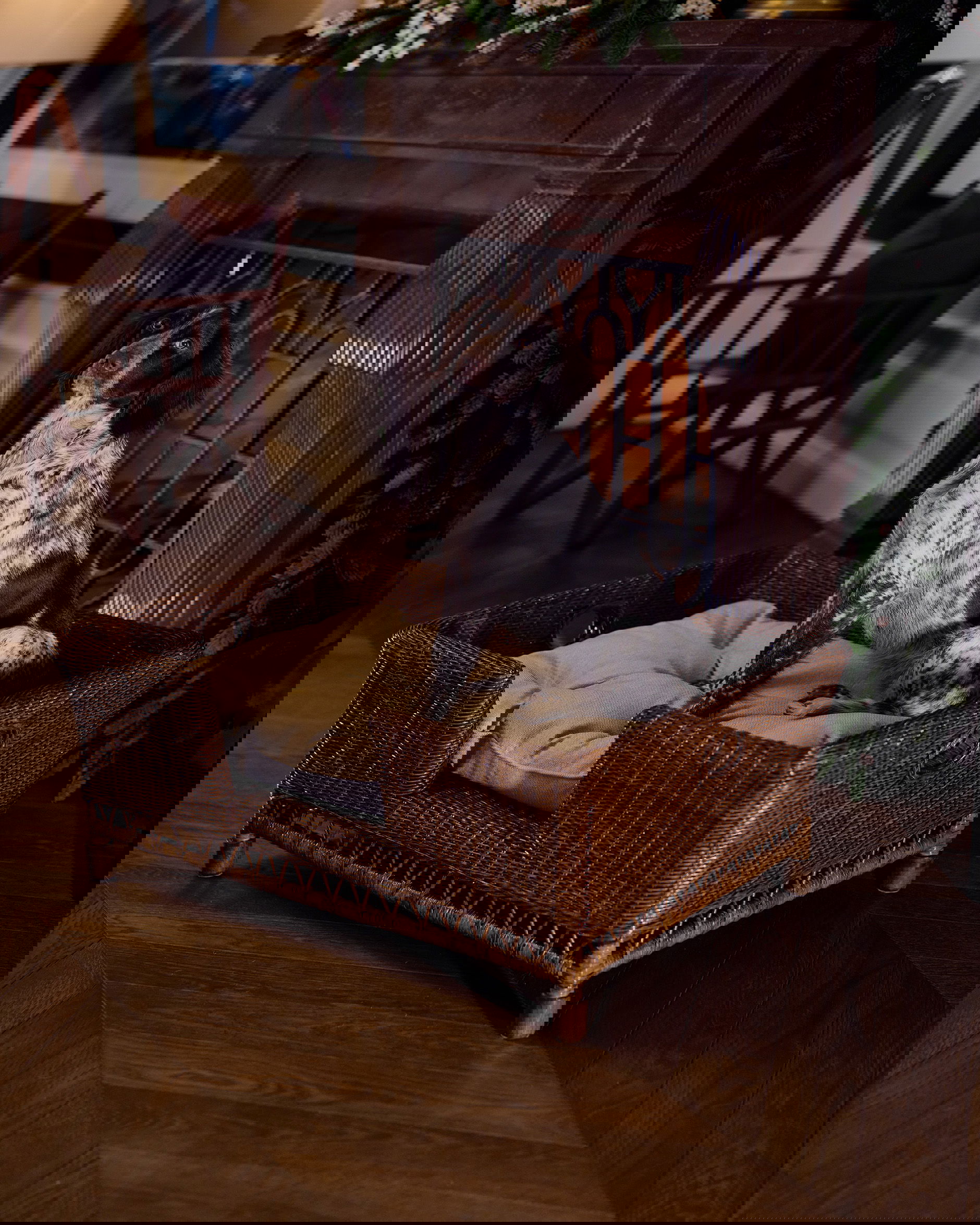 Cognac Dog Bed rattan