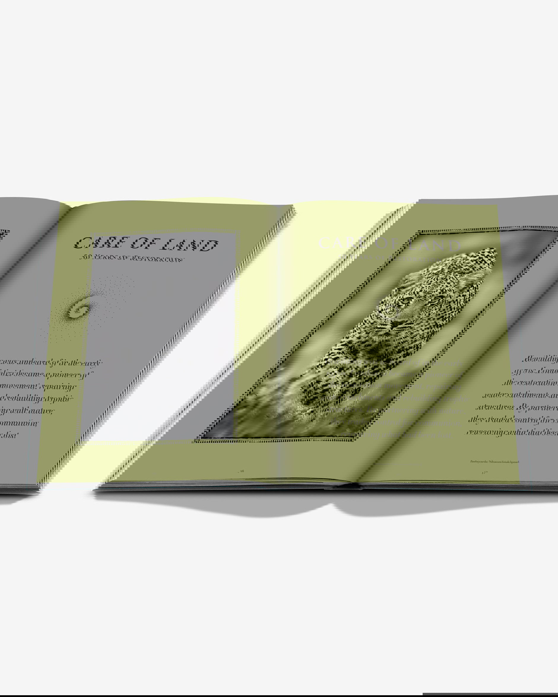 Londolozi, The Safari that Changed Everything