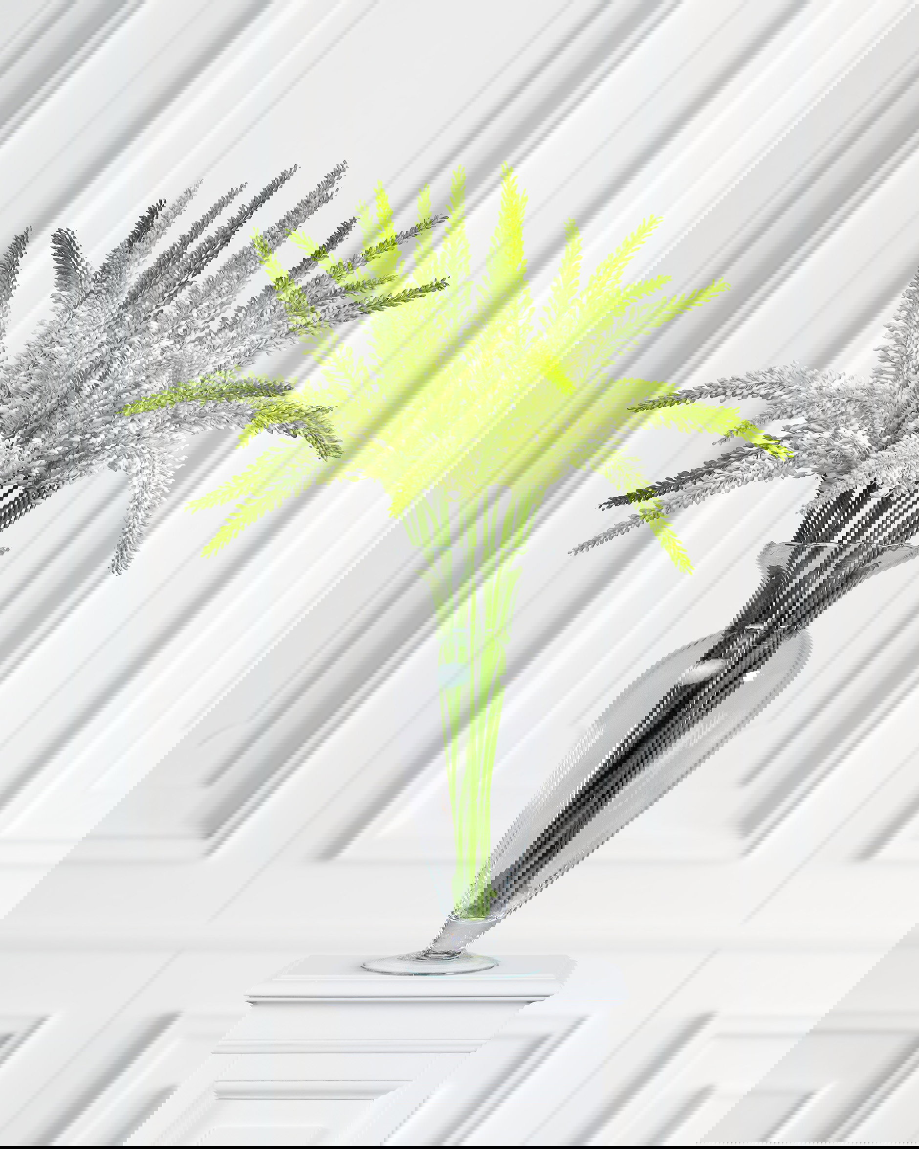 Eremurus snittblomma vit