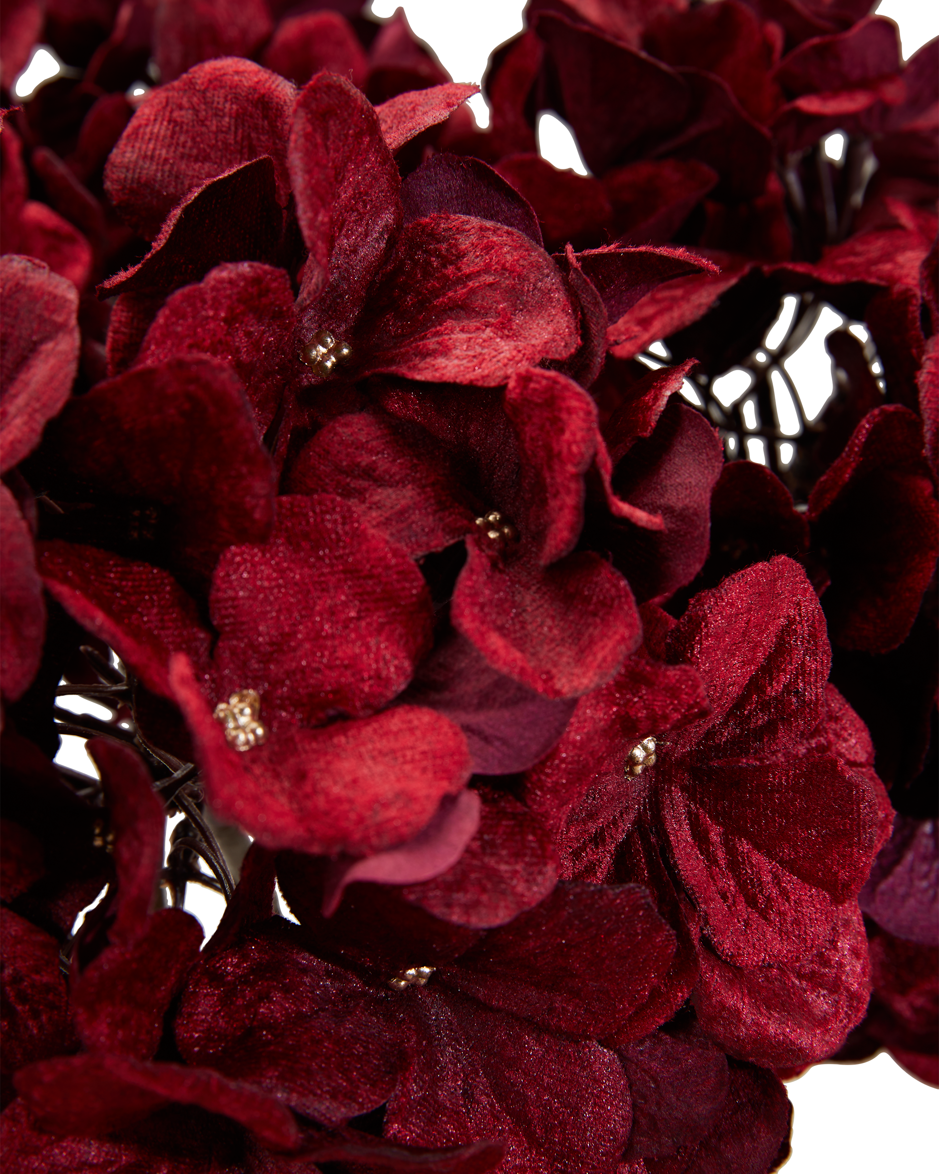 Hortensia snitblomst rød 5-pak