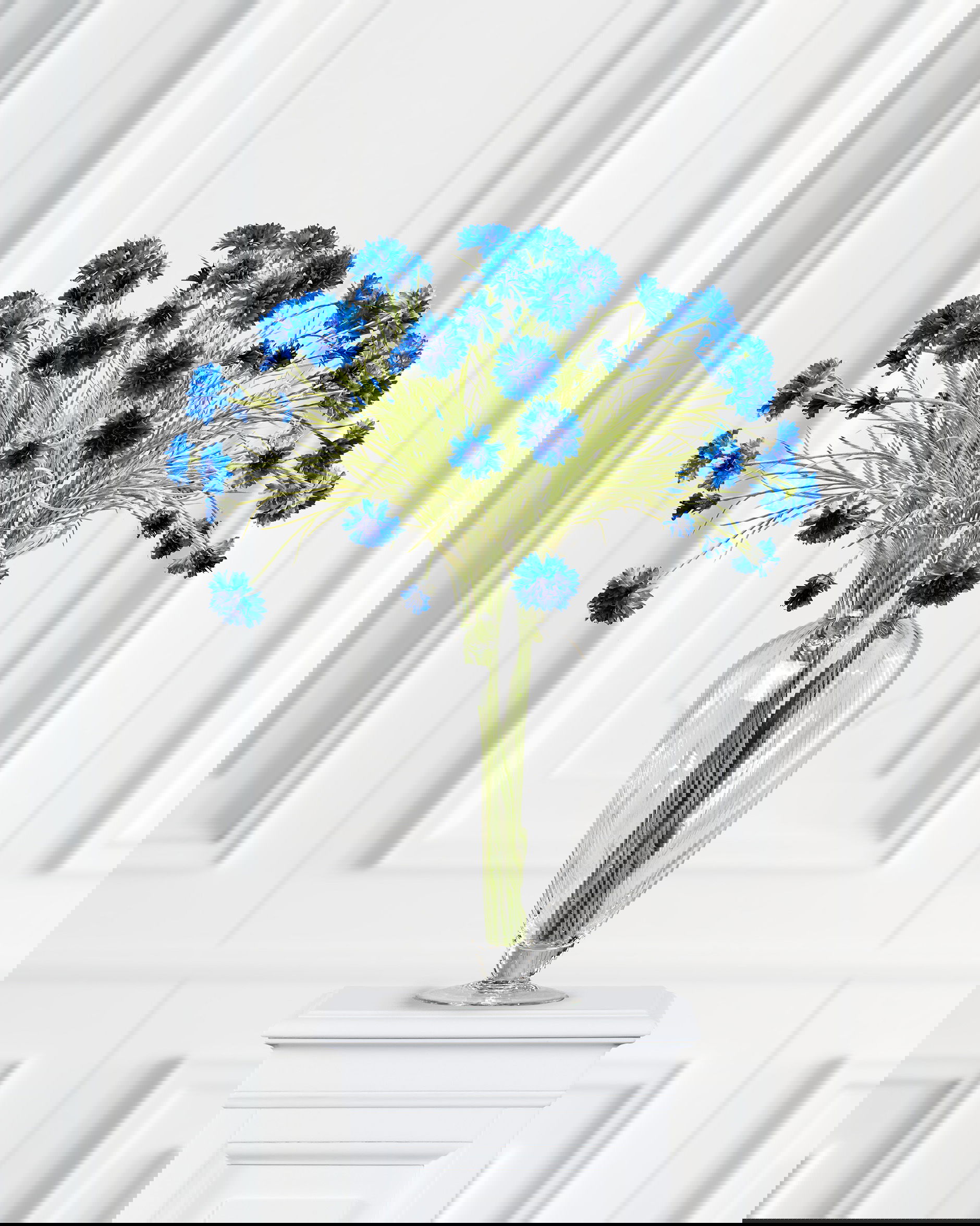 Cornflower Cut Flower Blue