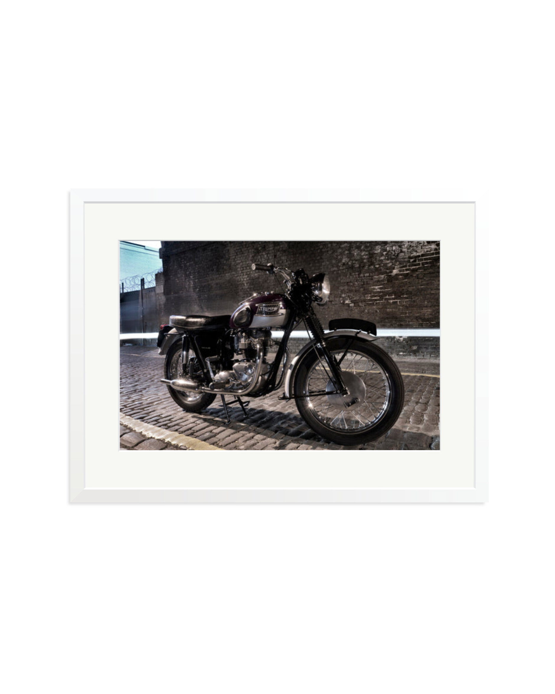 Triumph 1963 White / XL