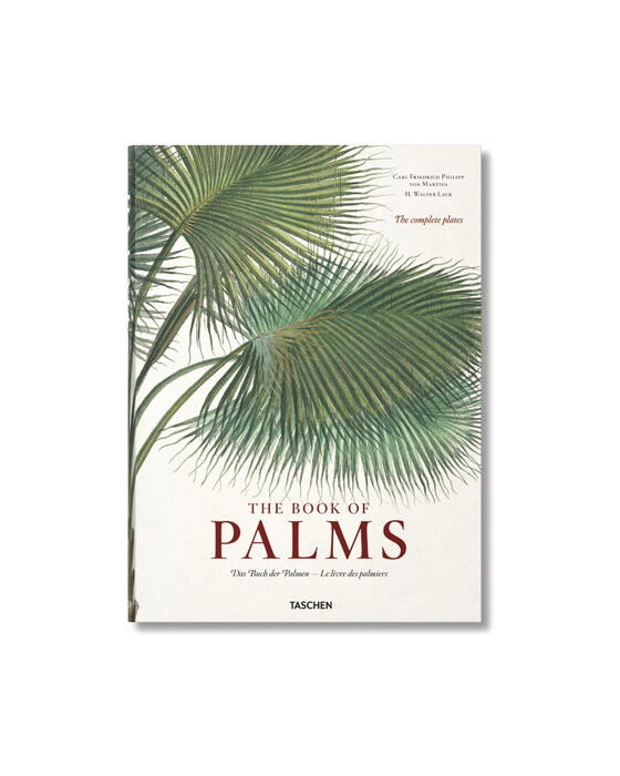 The Book of Palms
