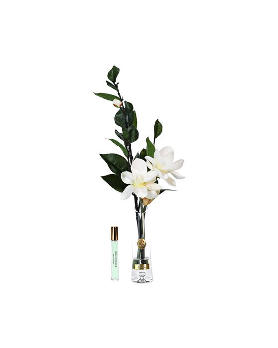 Magnolia d'Été Gift Set