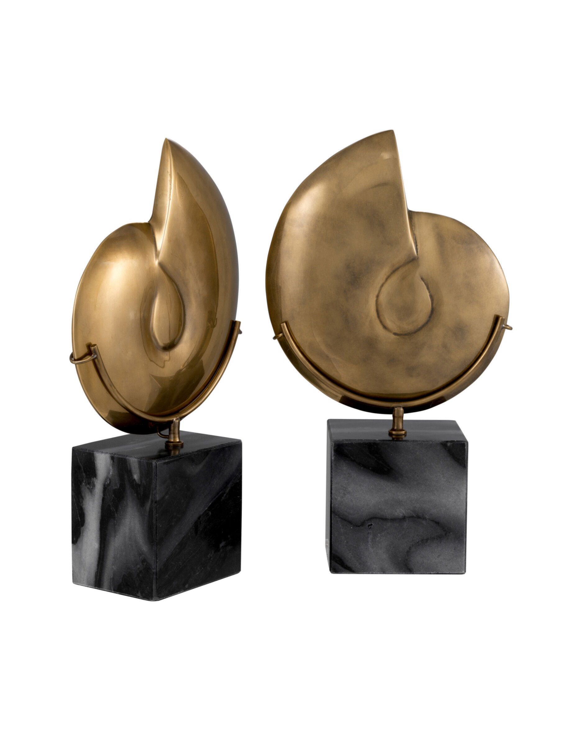 Ammonite Object Vintage Brass Set of 2