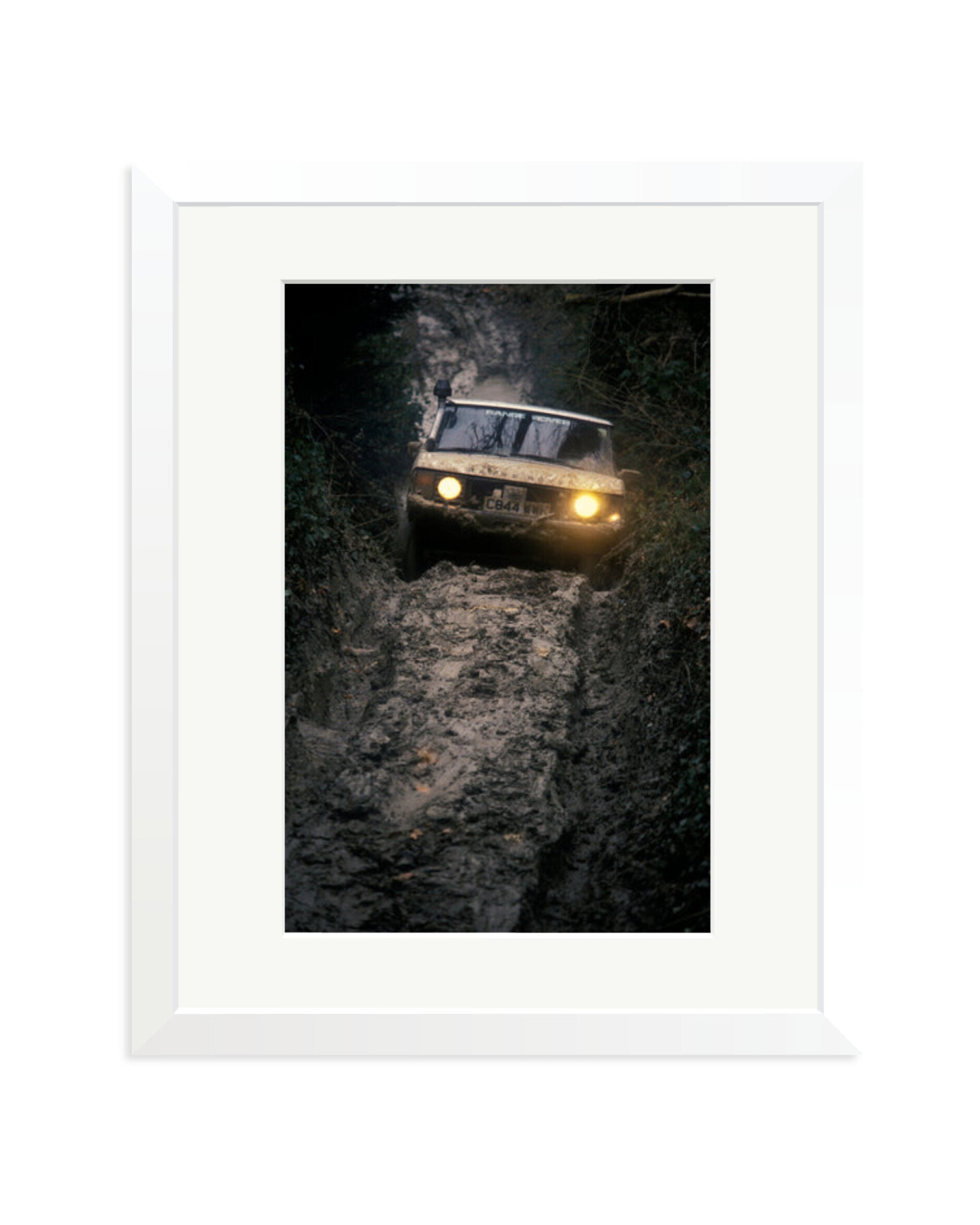 Test Track White / Medium