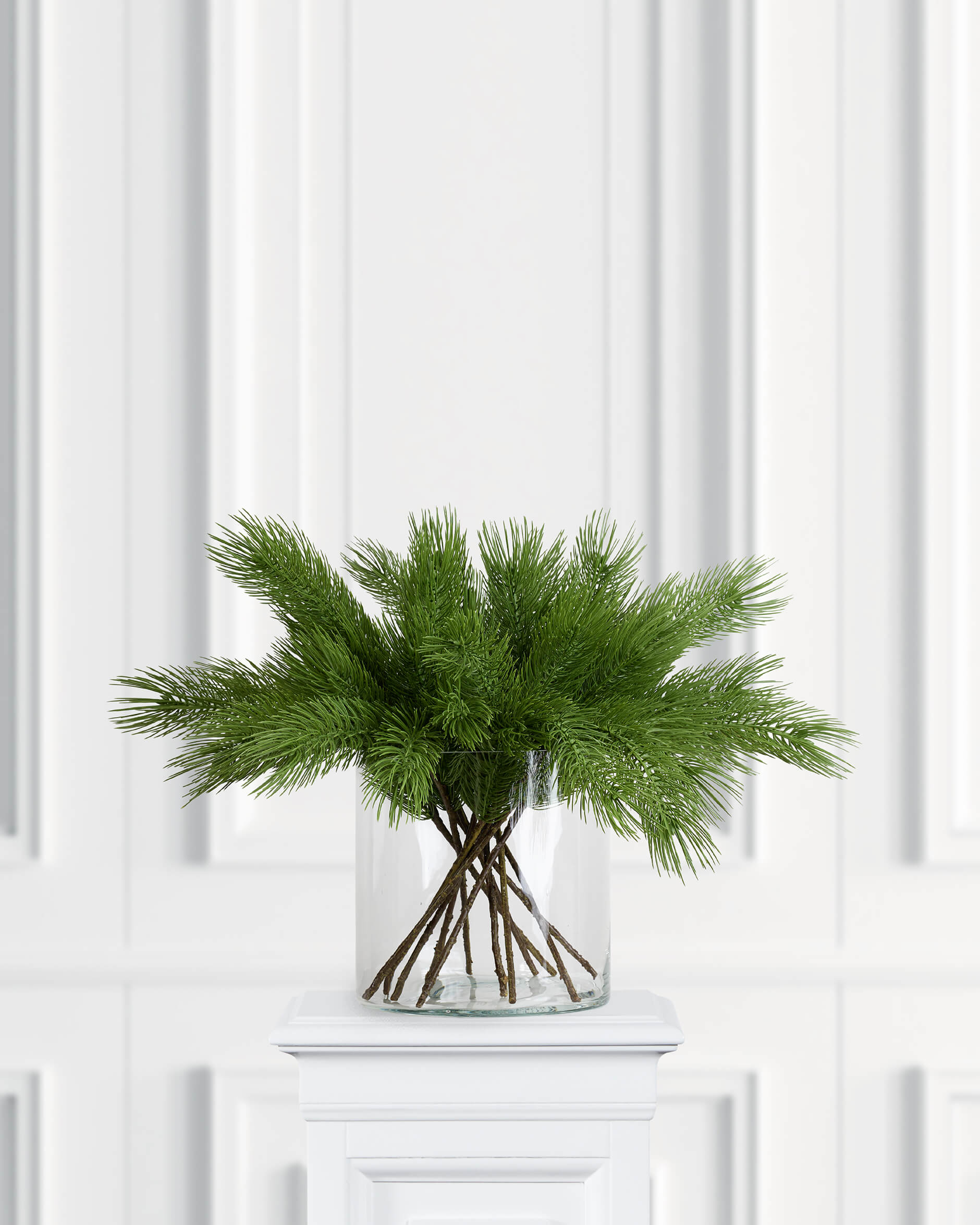 Forrest tallkvist grön